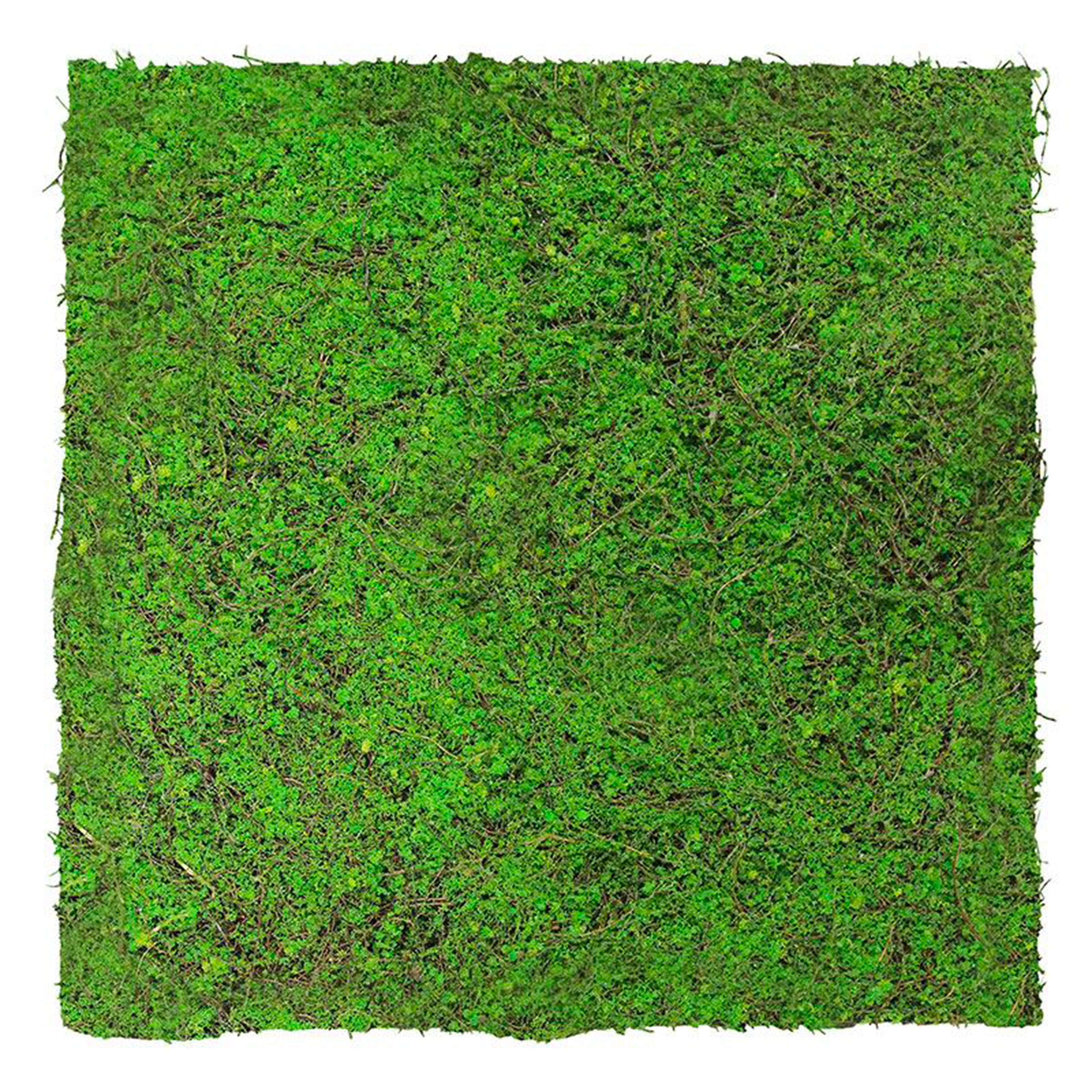 JANGAL Pannelli acustici Modulabili in FLORA sintetica ULTRAREALISTICA 52x52cm mod. ANCIENT TREE - Eternal Parquet