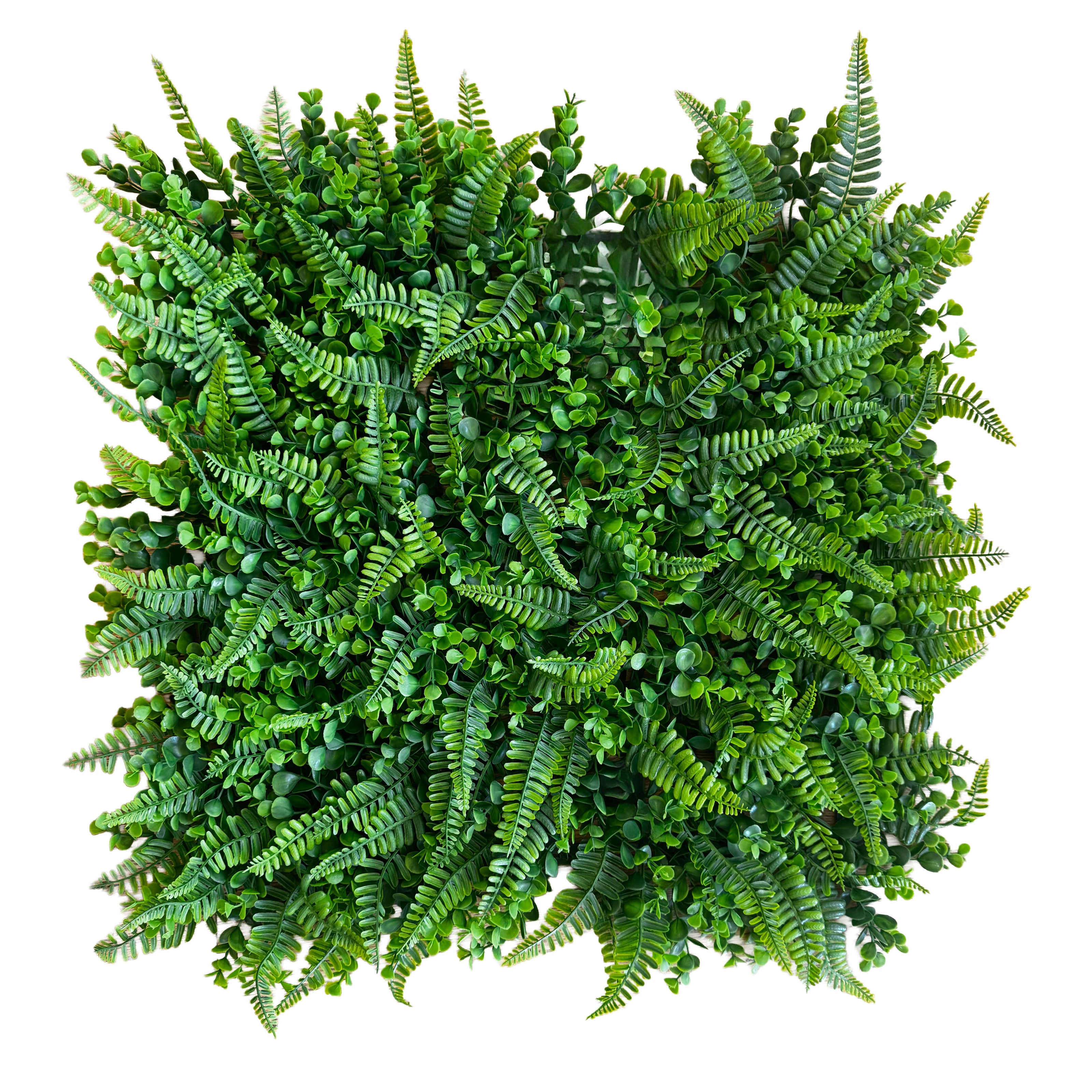 Pannelli Verde Verticale 50×50 cm Ultra-realistici e folti, per interno/esterno FELCI E BOSSO - Eternal Parquet - Eternal Parquet