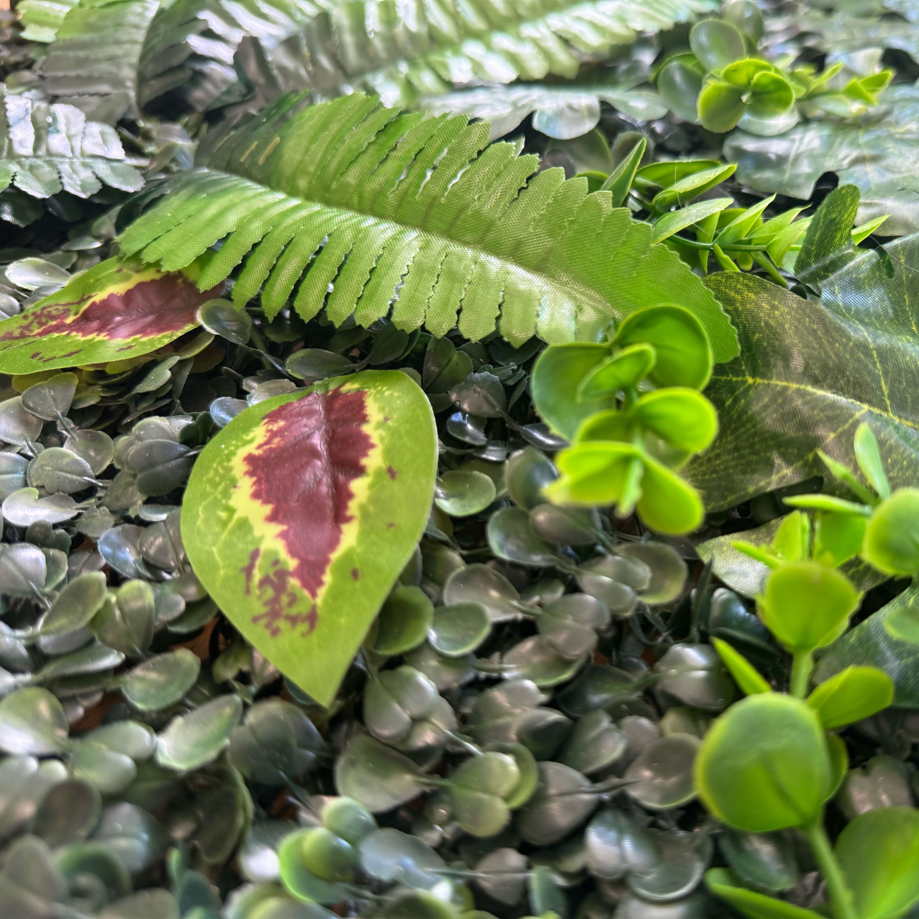 Pannelli Verde Verticale 50×50 cm Ultra-realistici e folti, per interno/esterno GIARDINO BOTANICO - Eternal Parquet - Eternal Parquet