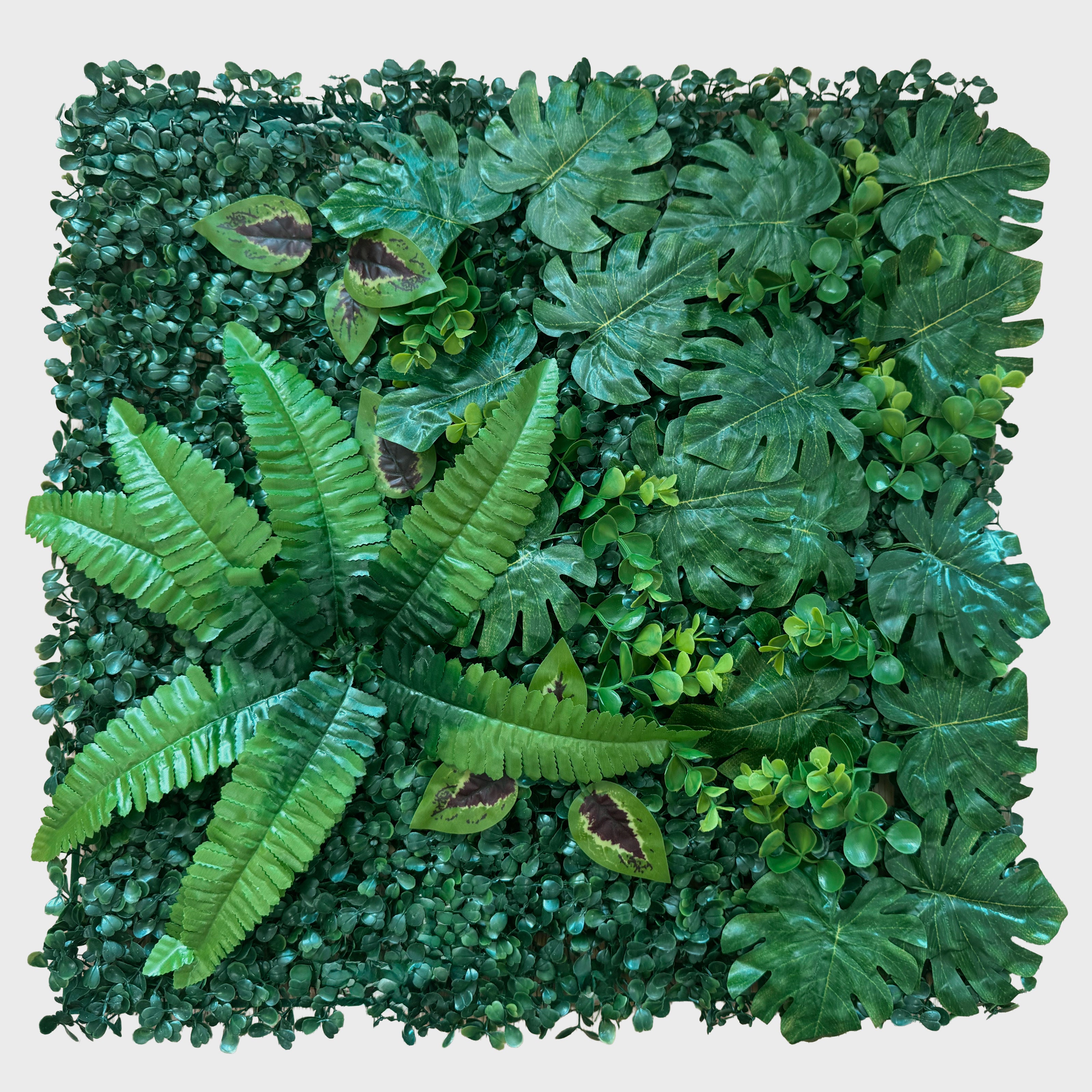 Pannelli Verde Verticale 50×50 cm Ultra-realistici e folti, per interno/esterno GIARDINO BOTANICO - Eternal Parquet - Eternal Parquet