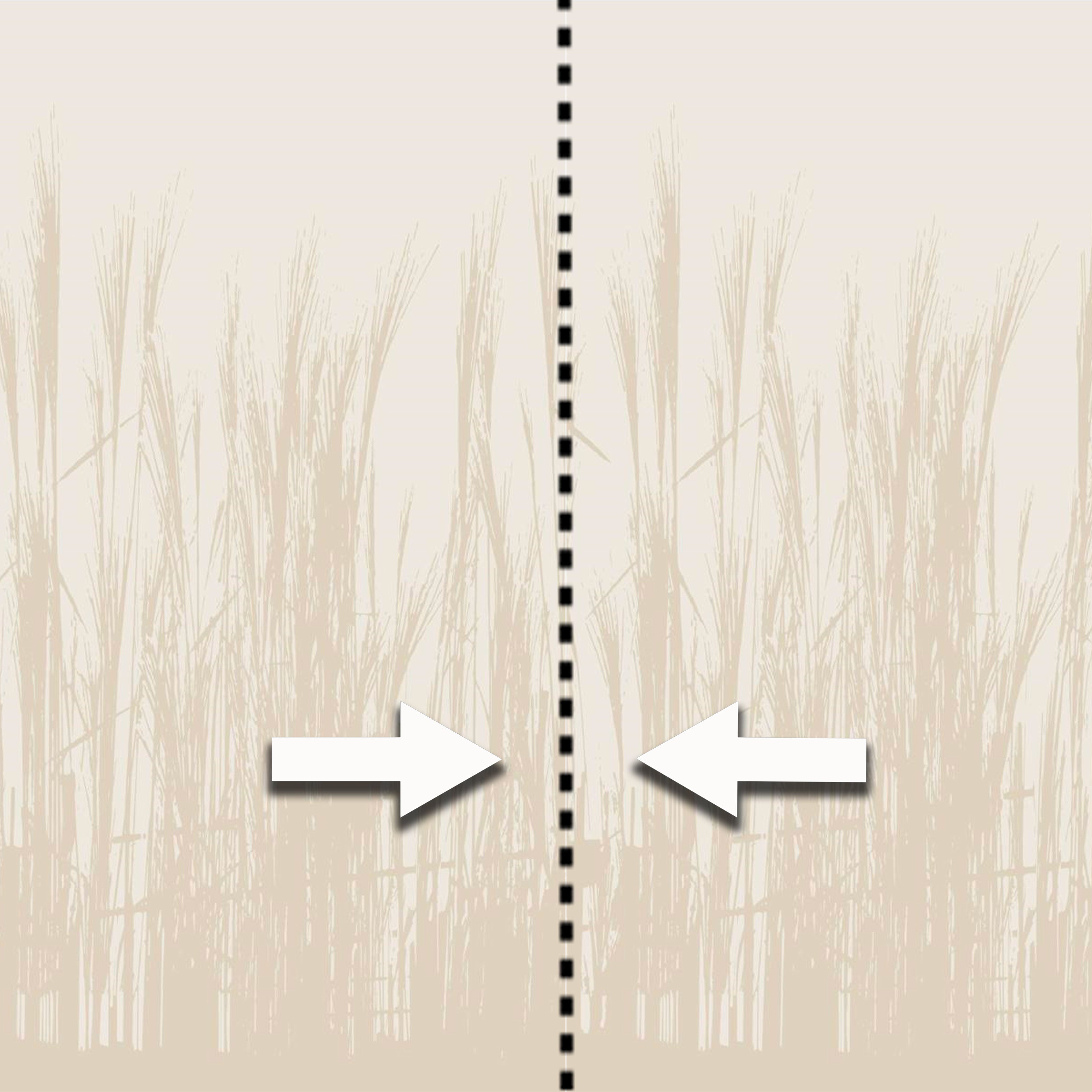 Pannello FOLIAGE 159x280cm di Carta da Parati TNT VINILICO a modulo raccordabile continuativo (3 teli/rotoli) - Eternal Parquet