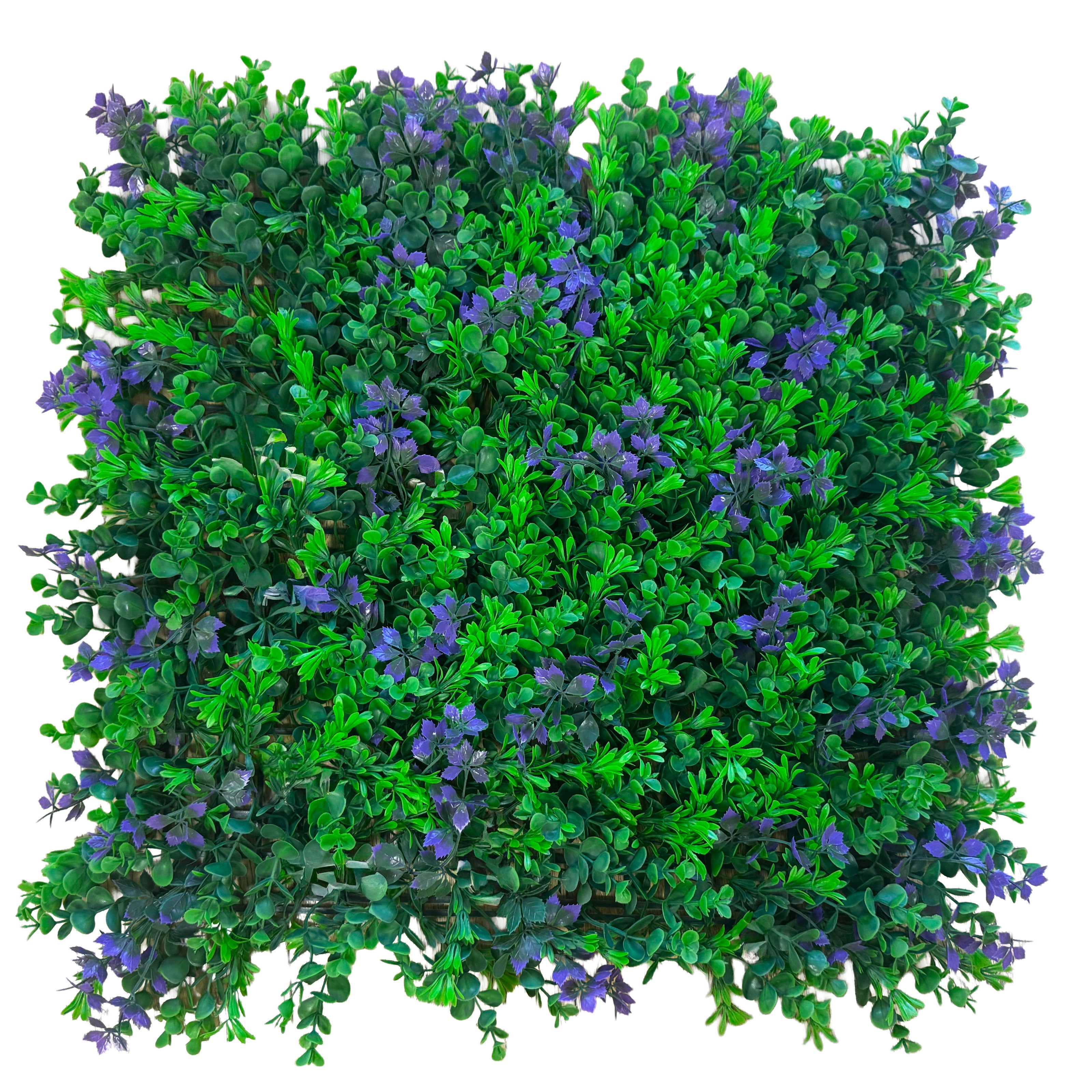 Pannelli Verde Verticale 50×50 cm Ultra-realistici e folti, per interno/esterno BOSSO E FOGLIE VIOLA - Eternal Parquet - Eternal Parquet