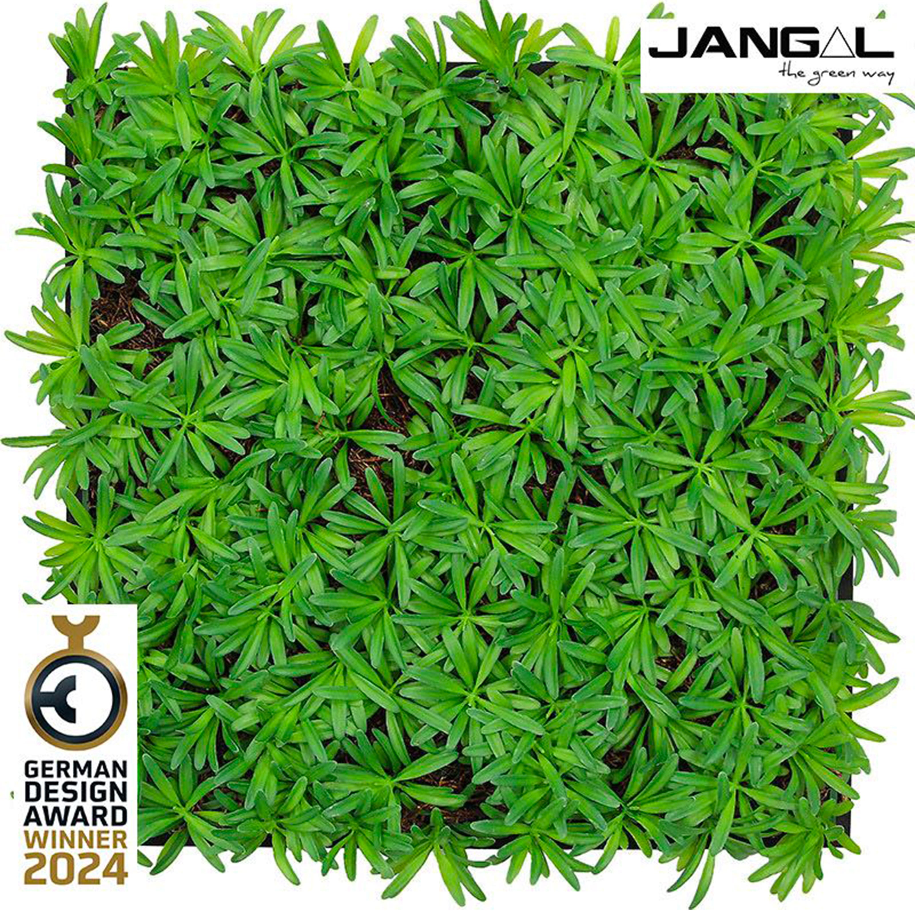 JANGAL Pannelli acustici Modulabili in FLORA sintetica ULTRAREALISTICA 52x52cm mod. PODOCARPUS TEA TREE - Eternal Parquet