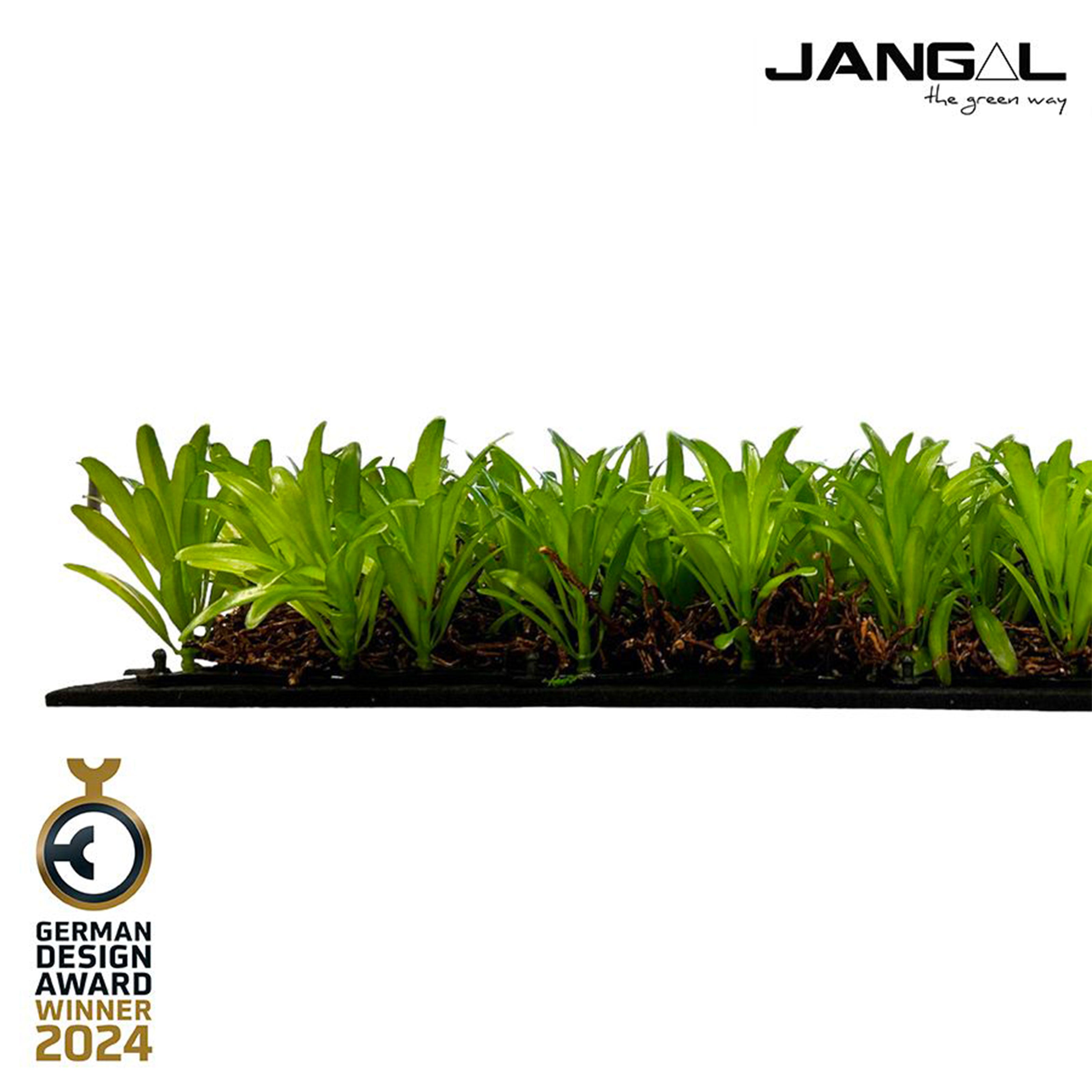 JANGAL Pannelli acustici Modulabili in FLORA sintetica ULTRAREALISTICA 52x52cm mod. PODOCARPUS TEA TREE - Eternal Parquet