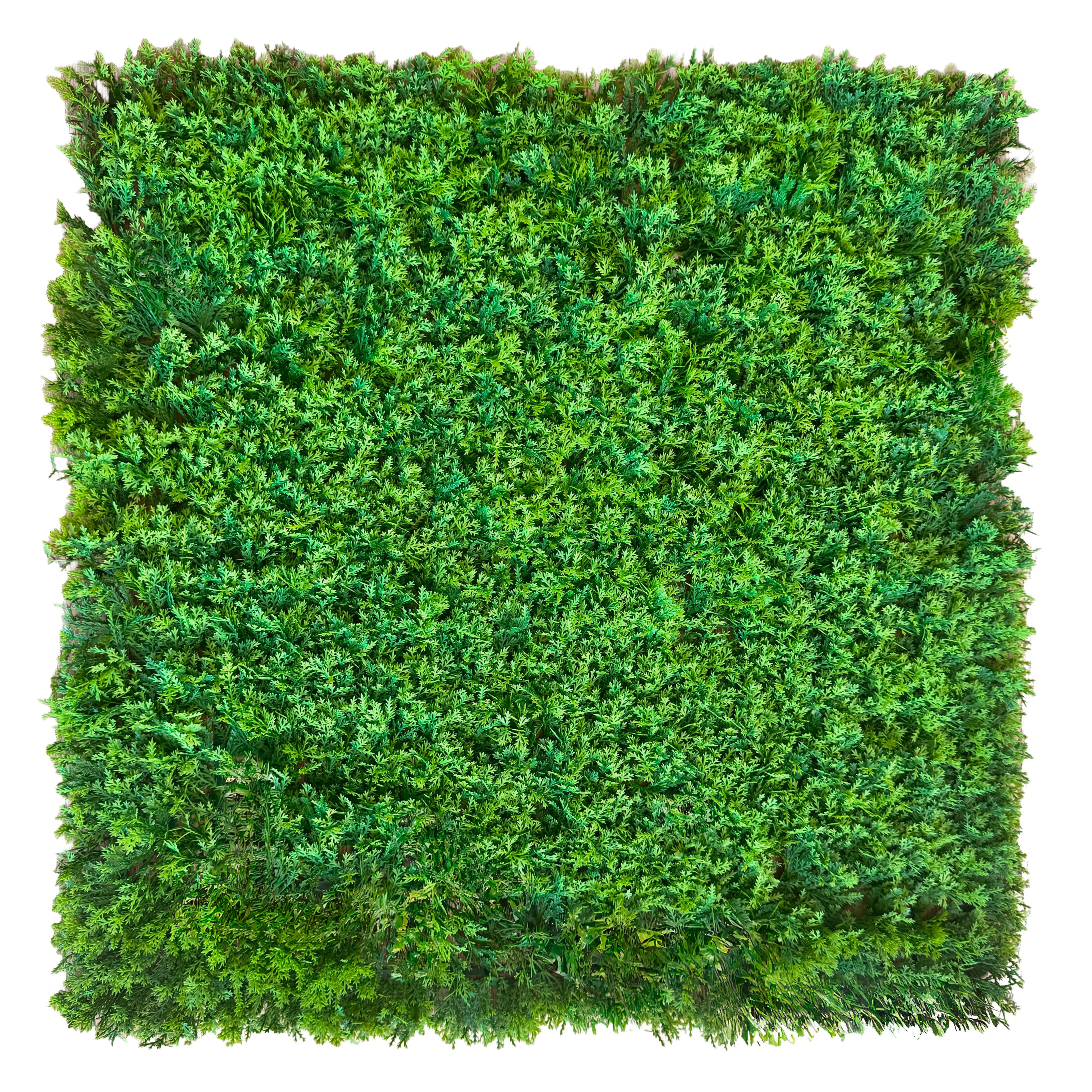 Pannelli Verde Verticale 50×50 cm Ultra-realistici e folti, per interno/esterno MUSCHIO PLUVIALE - Eternal Parquet - Eternal Parquet