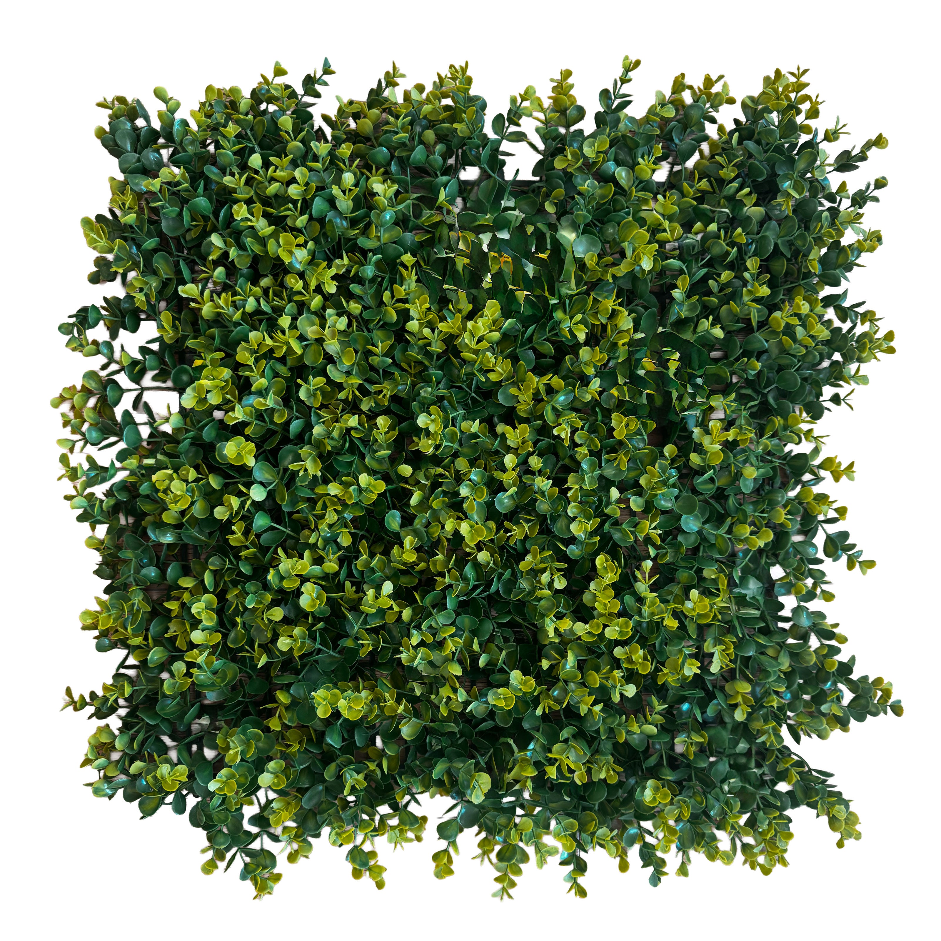 Pannelli Verde Verticale 50×50 cm Ultra-realistici e folti, per interno/esterno SIEPE MEDIA - Eternal Parquet - Eternal Parquet