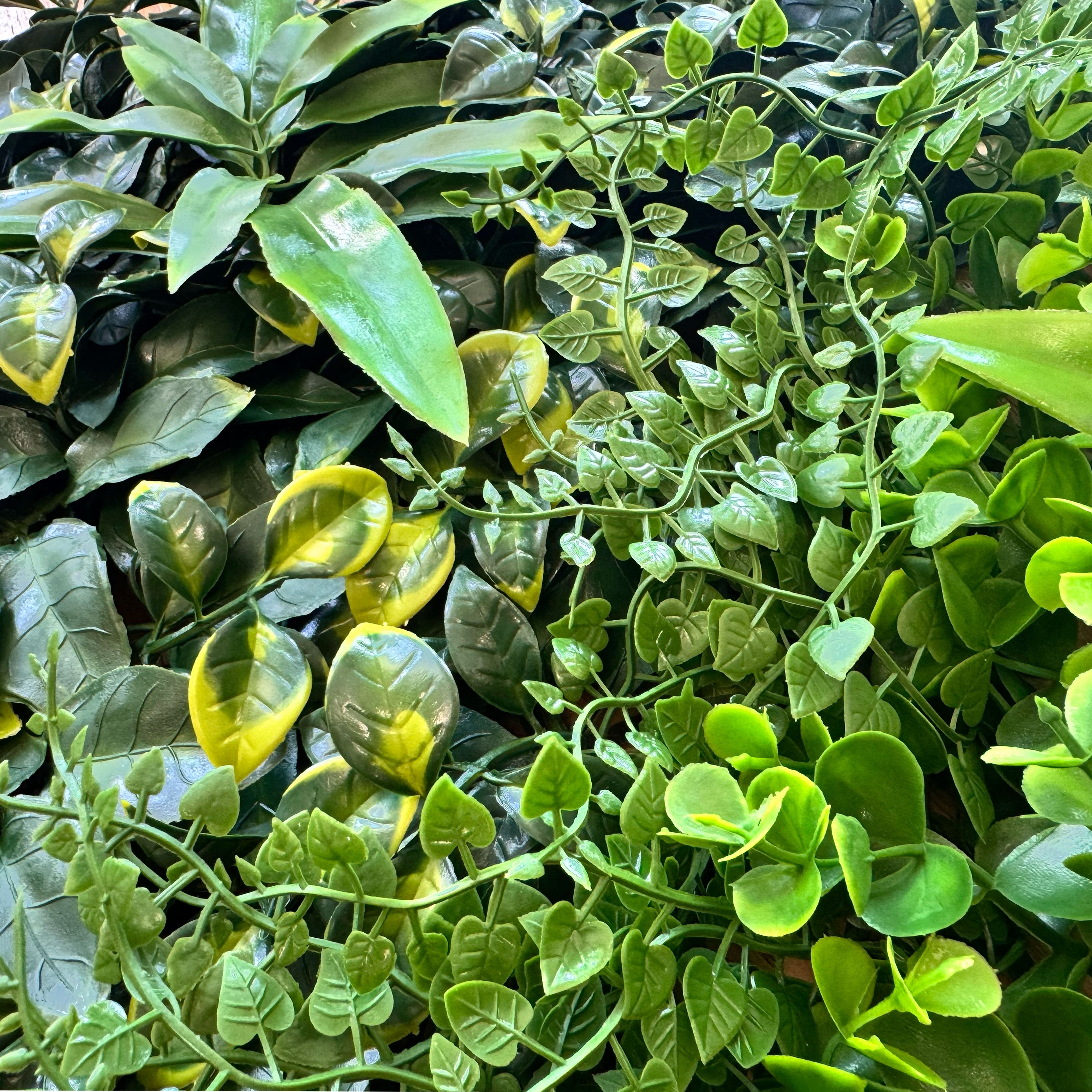 Pannelli Verde Verticale 50×50 cm Ultra-realistici e folti, per interno/esterno AGAVE - DRACENA - Eternal Parquet - Eternal Parquet