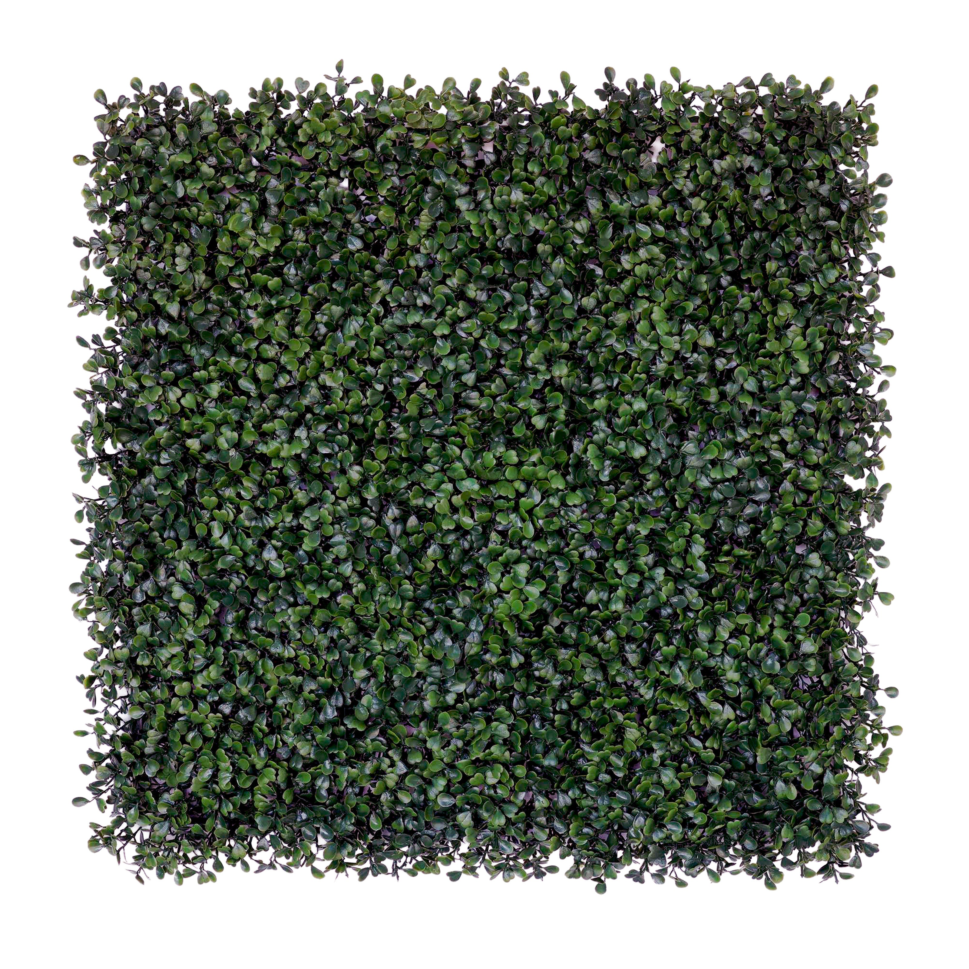 Pannelli Verde Verticale 50×50 cm Ultra-realistici e folti, per interno/esterno BOSSO - Eternal Parquet - Eternal Parquet