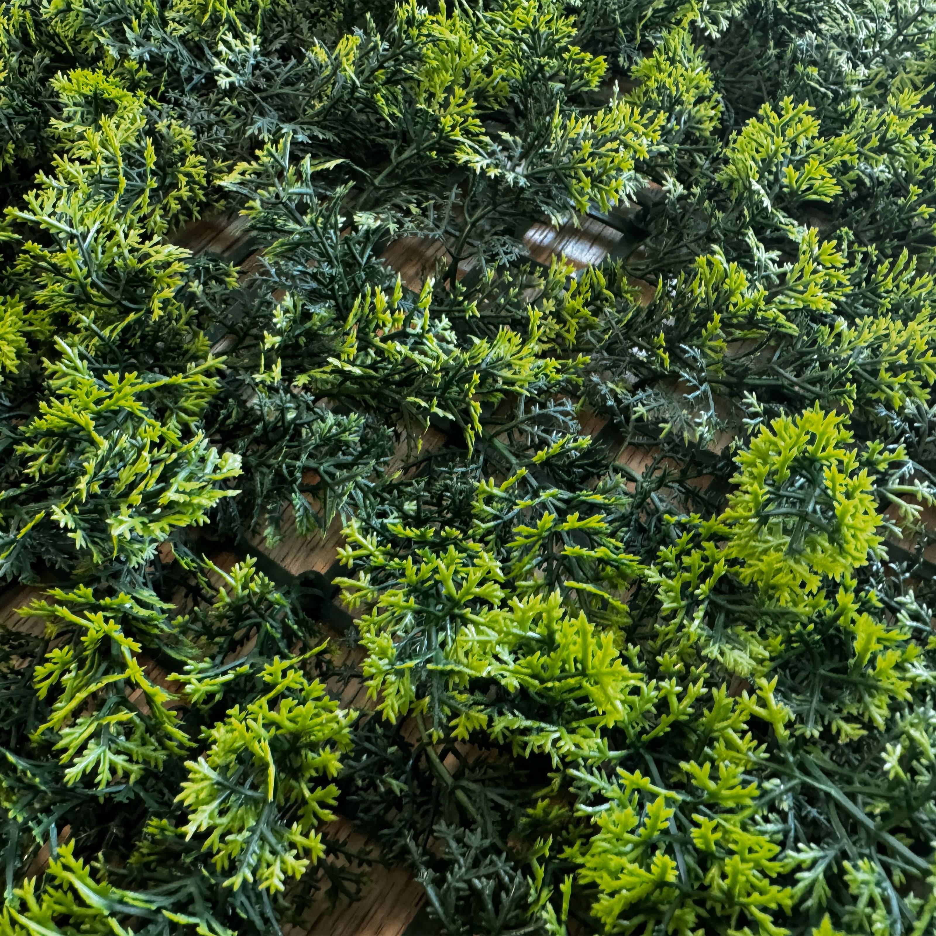 Pannelli Verde Verticale 50×50 cm Ultra-realistici e folti, per interno/esterno CIPRESSO - Eternal Parquet - Eternal Parquet