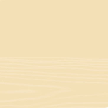 NADELHOLZBEIZE - TINTA MORDENTE ALL'ACQUA AD EFFETTO POSITIVO