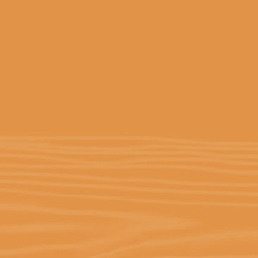 SPIRITUSBEIZE - TINTA ALL'ALCOOL