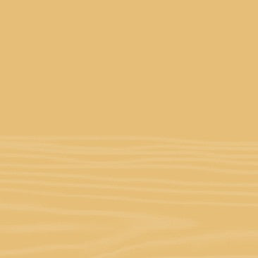 HOLZ ANTIX 2008 - VEICOLO ANTICANTE ALL'ACQUA