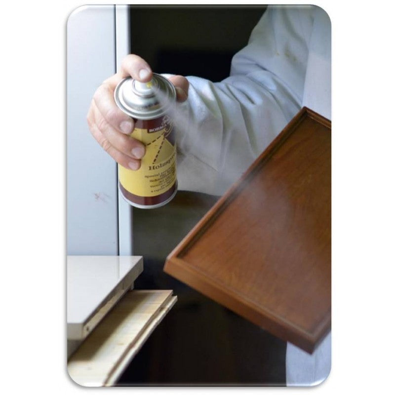 HOLZSPRAY HS - VERNICE SPRAY AD ALTO SOLIDO