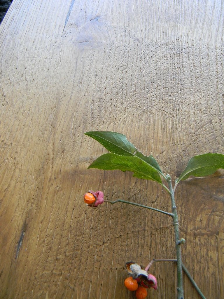 MAXILISTONE prefinito KAHRS FOUNDERS COLLECTION mod. "FREDRIK" - Eternal Parquet