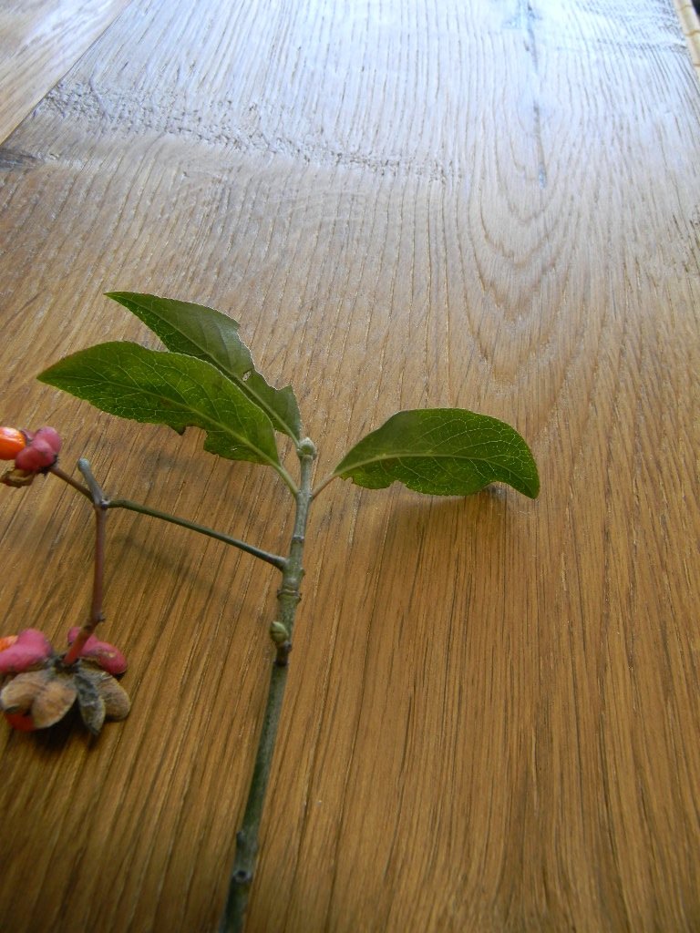 MAXILISTONE prefinito KAHRS FOUNDERS COLLECTION mod. "FREDRIK" - Eternal Parquet