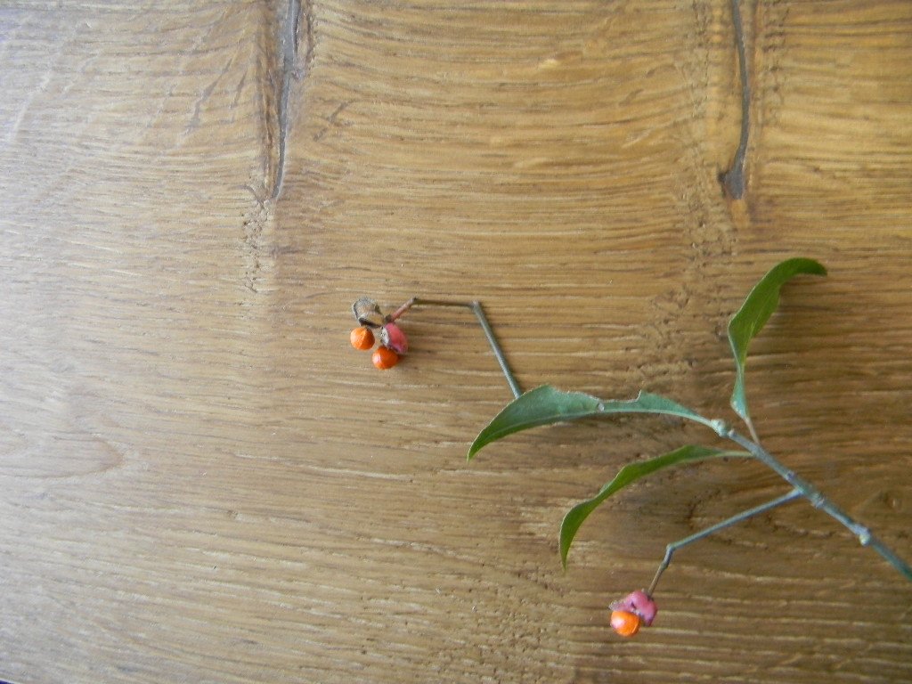 MAXILISTONE prefinito KAHRS FOUNDERS COLLECTION mod. "FREDRIK" - Eternal Parquet