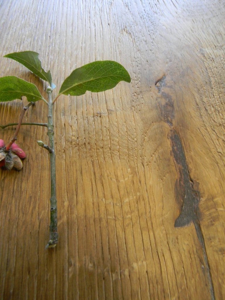 MAXILISTONE prefinito KAHRS FOUNDERS COLLECTION mod. "FREDRIK" - Eternal Parquet