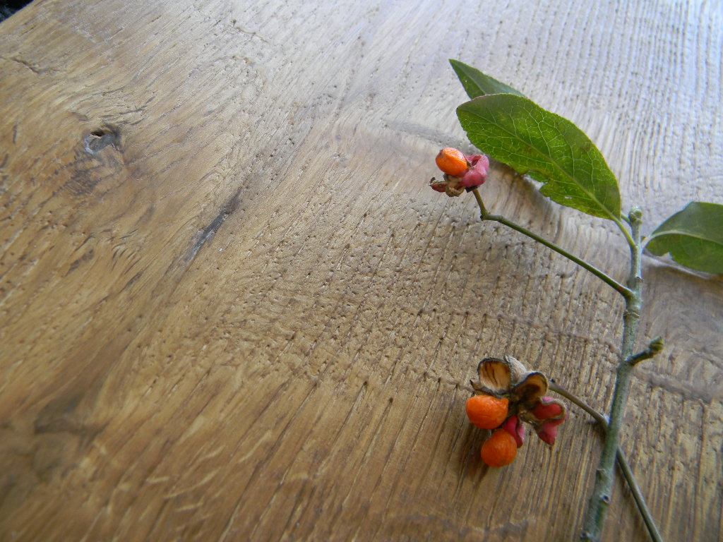 MAXILISTONE prefinito KAHRS FOUNDERS COLLECTION mod. "FREDRIK" - Eternal Parquet