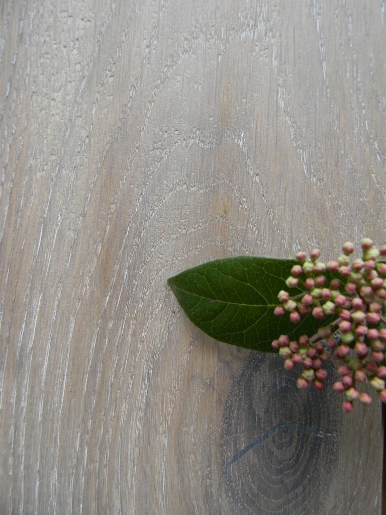 MAXILISTONE prefinito rovere fumè FOSSIL KAHRS SPIRIT RUGGED COLLECTION - Eternal Parquet