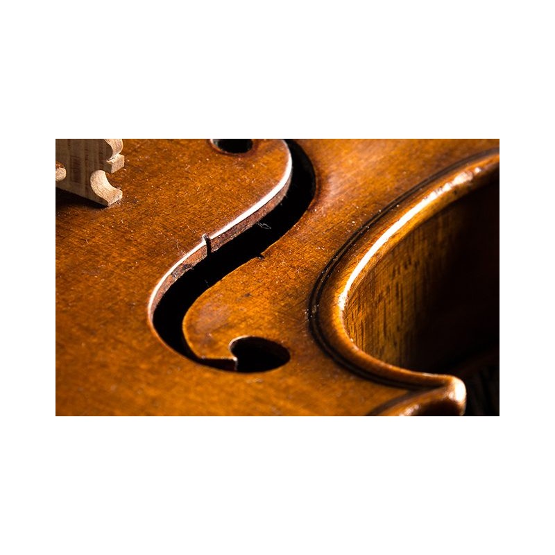 Estratto di Olio di Legno Puro Tung Oil Olio Di Tung Eternal Parquet