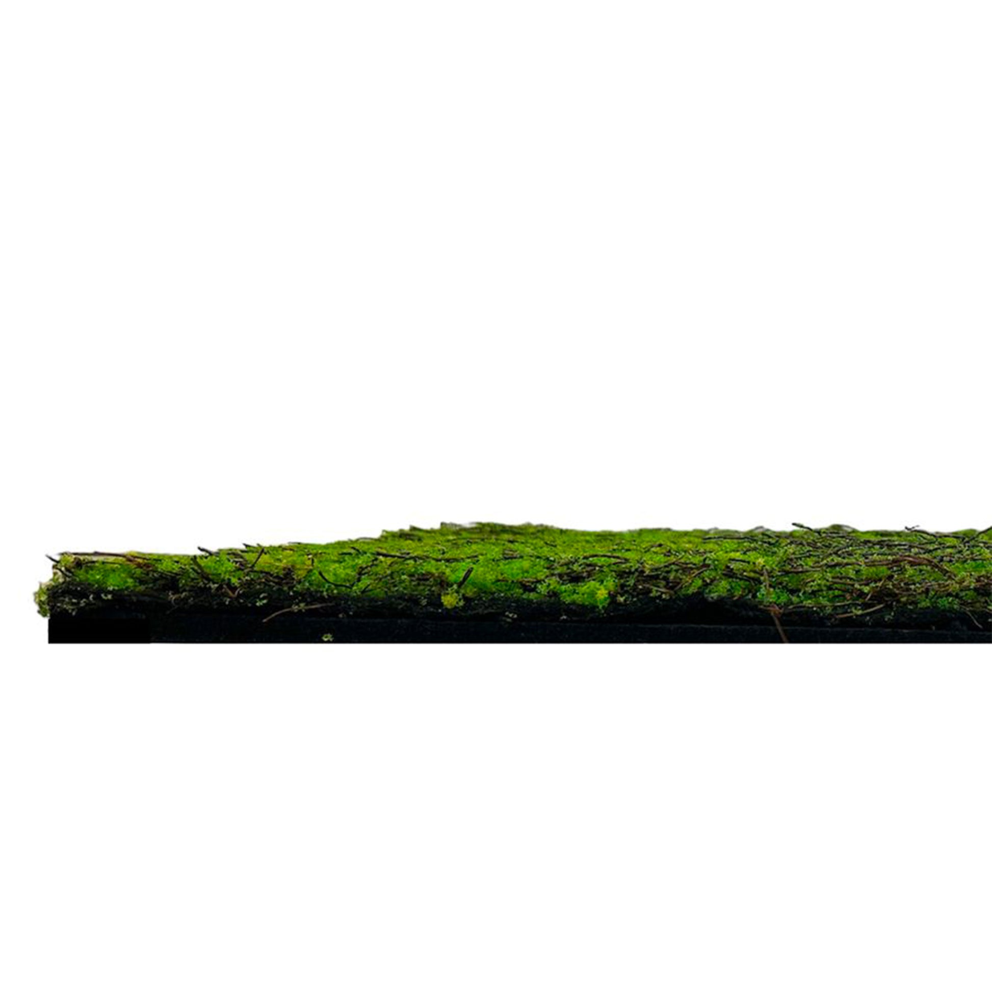 JANGAL Pannelli acustici Modulabili in FLORA sintetica ULTRAREALISTICA 52x52cm mod. ANCIENT TREE - Eternal Parquet