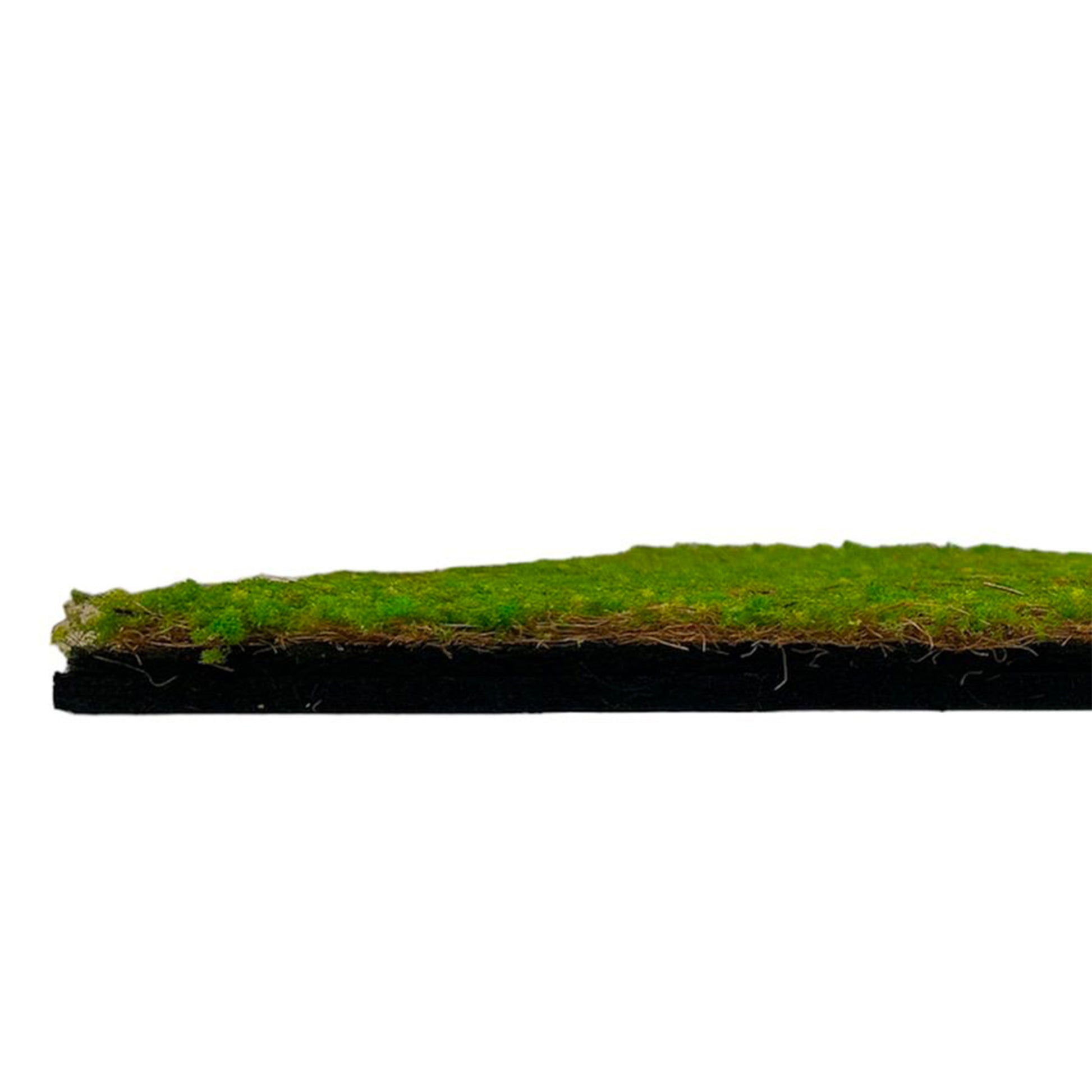JANGAL Pannelli acustici Modulabili in FLORA sintetica ULTRAREALISTICA 52x52cm mod. LIGHT GREEN COCONUT - Eternal Parquet