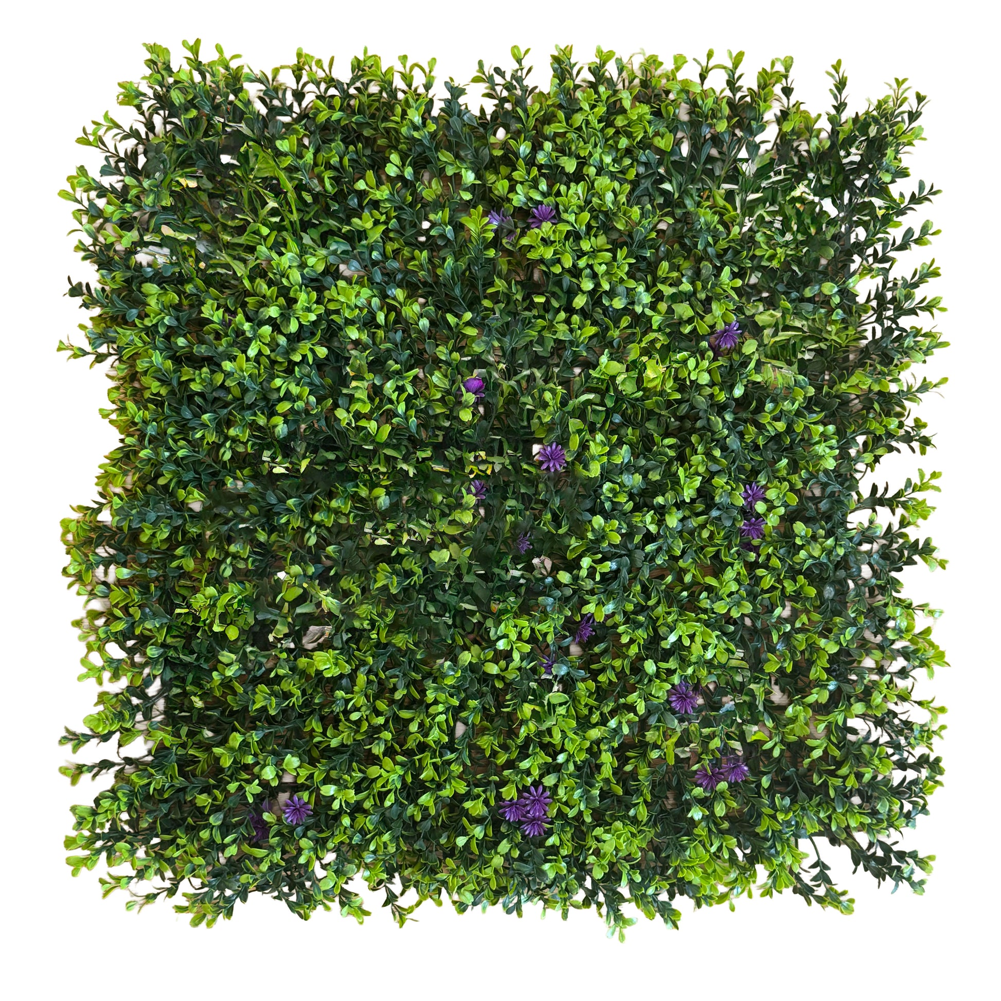 Pannelli Verde Verticale 50×50 cm Ultra-realistici e folti, per interno/esterno BOSSO E FIORI VIOLA - Eternal Parquet - Eternal Parquet