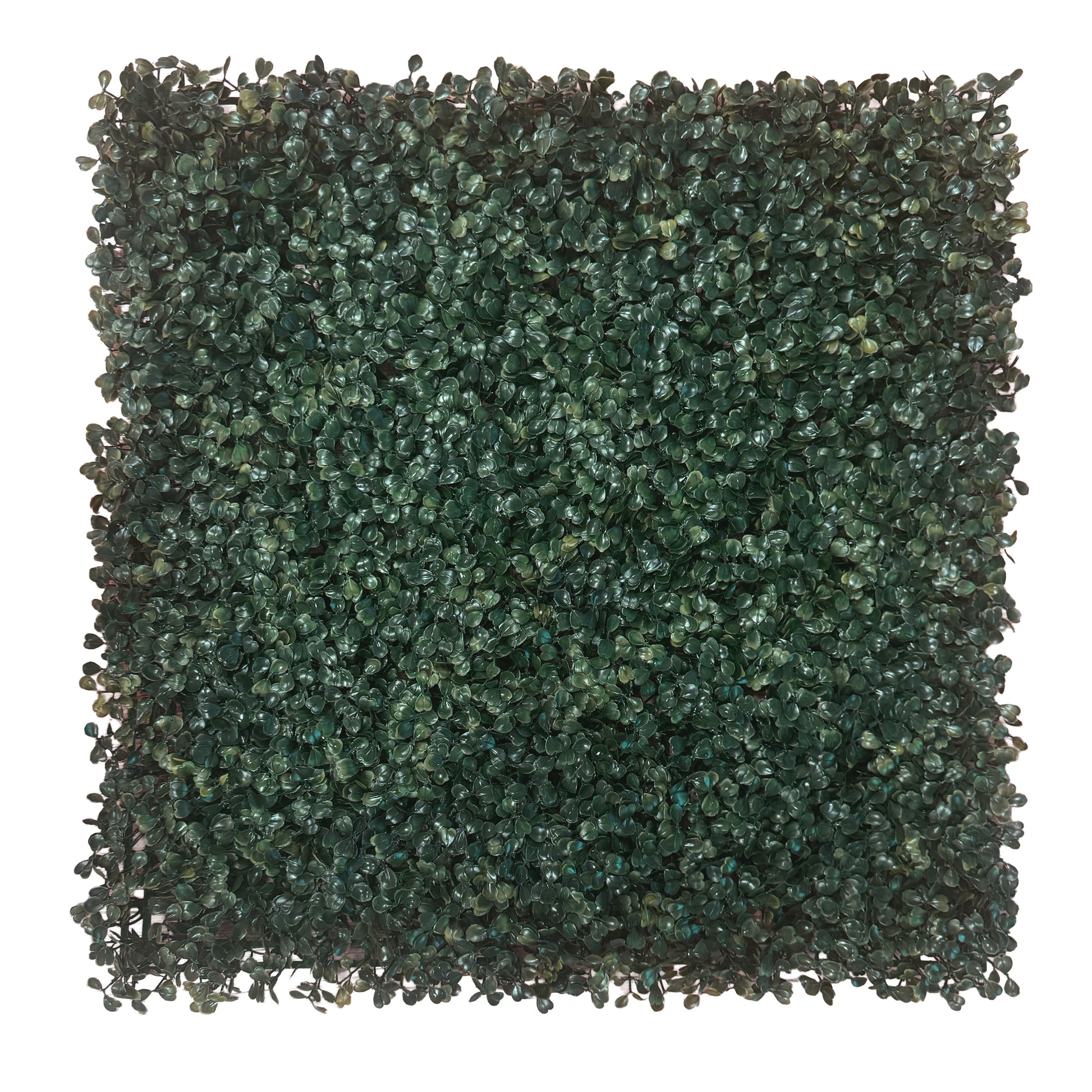 Pannelli Verde Verticale 50×50 cm Ultra-realistici e folti, per interno/esterno BOSSO COMPATTO - Eternal Parquet - Eternal Parquet