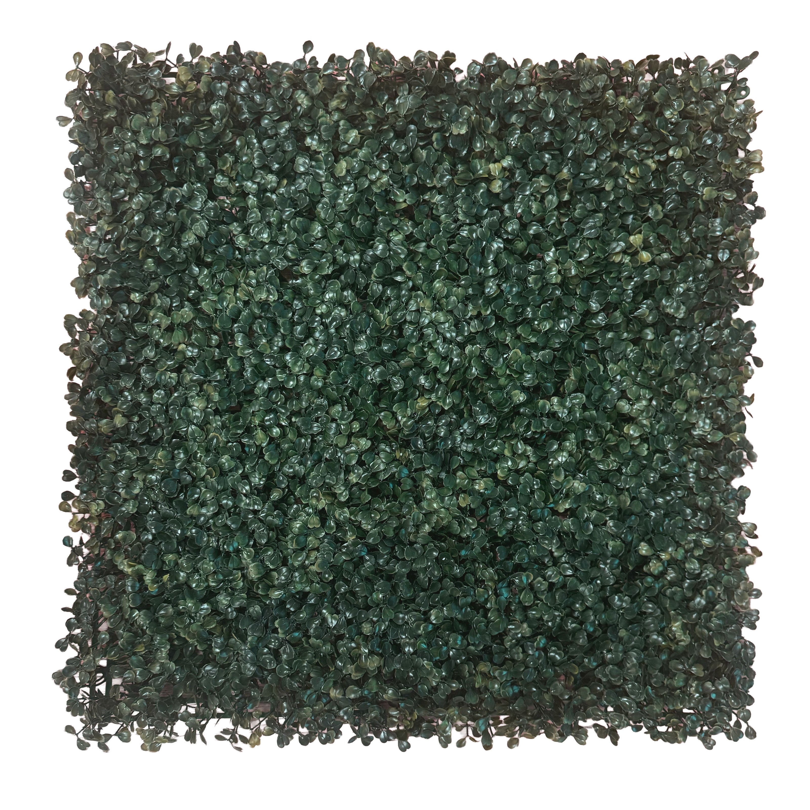 Pannelli Verde Verticale 50×50 cm Ultra-realistici e folti, per interno/esterno BOSSO COMPATTO - Eternal Parquet - Eternal Parquet