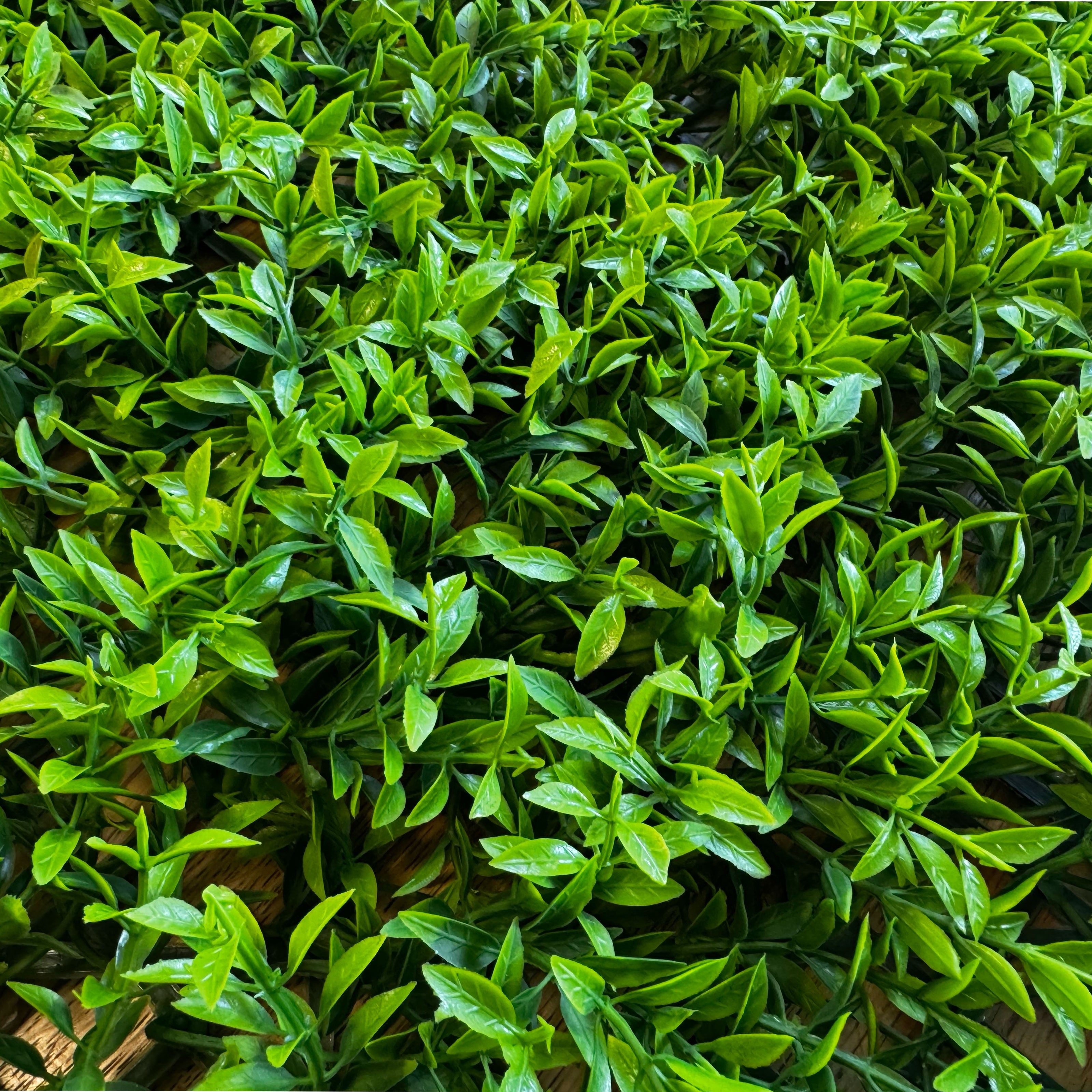 Pannelli Verde Verticale 50×50 cm Ultra-realistici e folti, per interno/esterno BOXUS - Eternal Parquet - Eternal Parquet