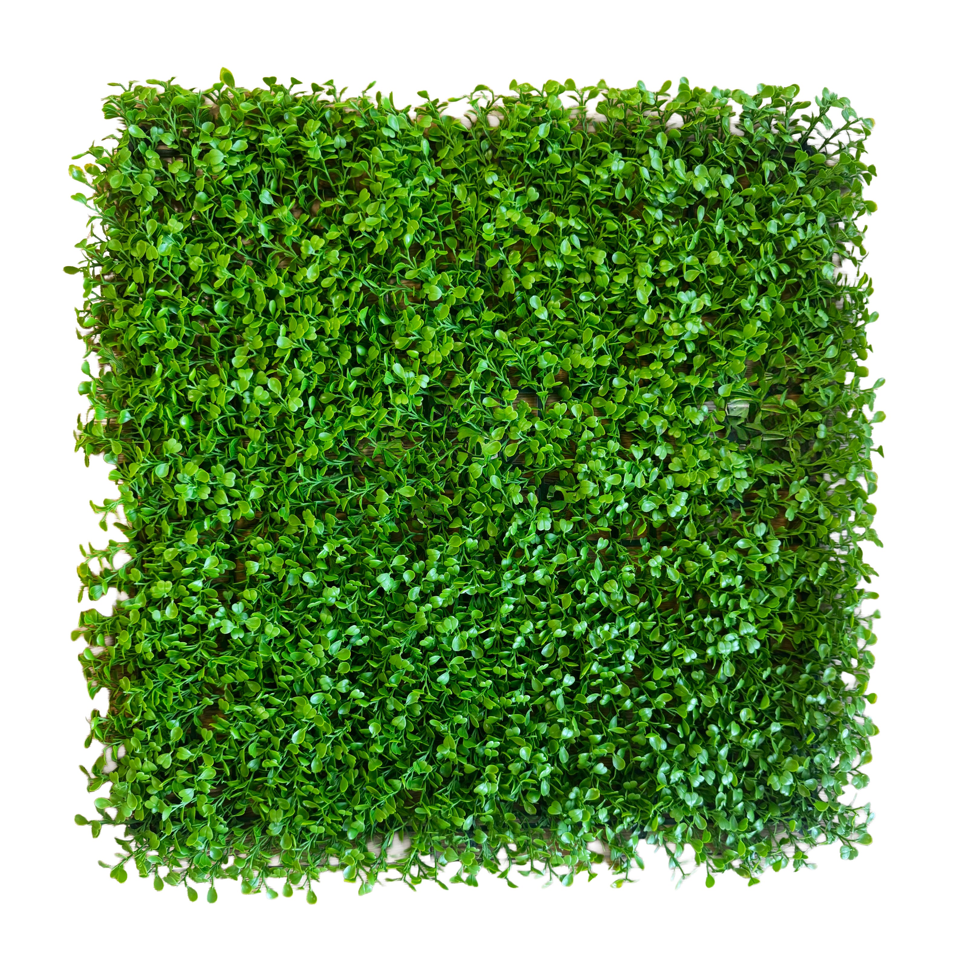 Pannelli Verde Verticale 50×50 cm Ultra-realistici e folti, per interno/esterno BOSSO GENTILE - Eternal Parquet - Eternal Parquet