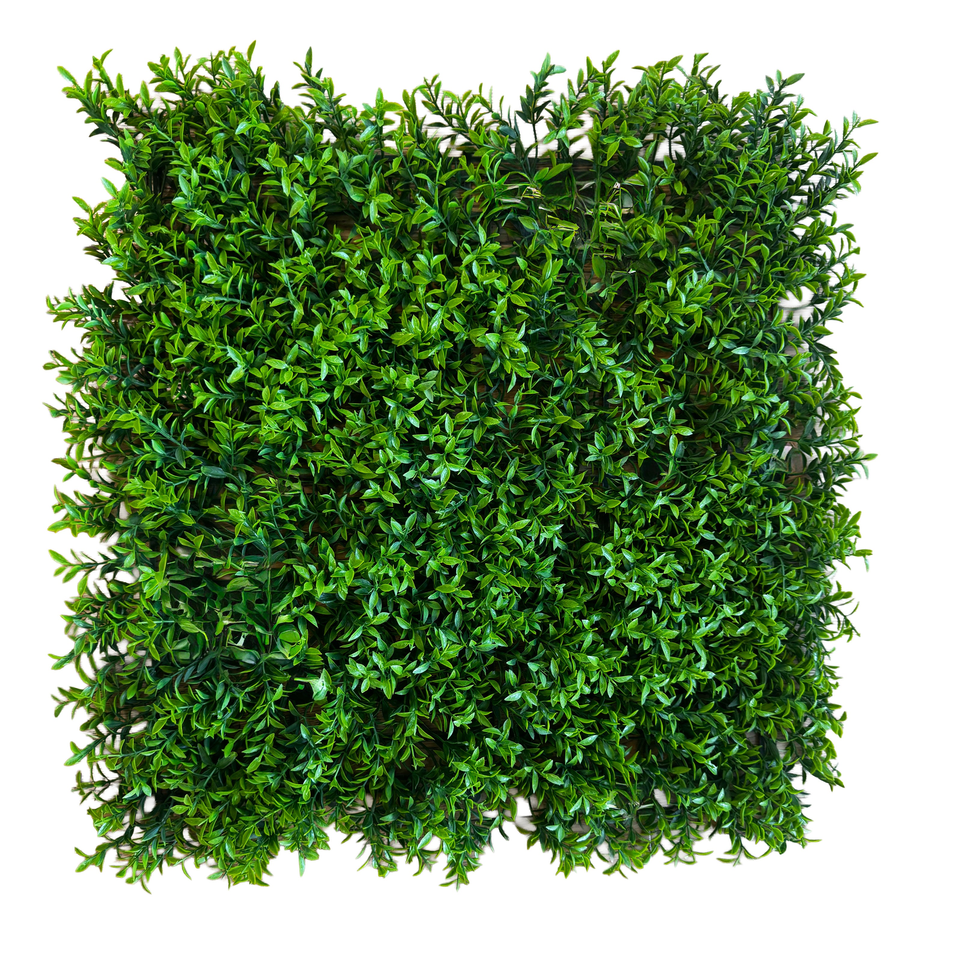 Pannelli Verde Verticale 50×50 cm Ultra-realistici e folti, per interno/esterno BOXUS - Eternal Parquet - Eternal Parquet