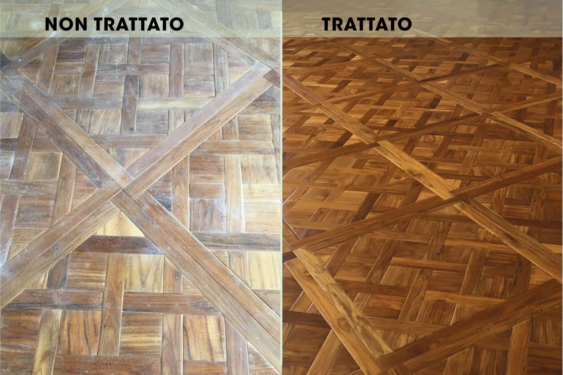 Corollino