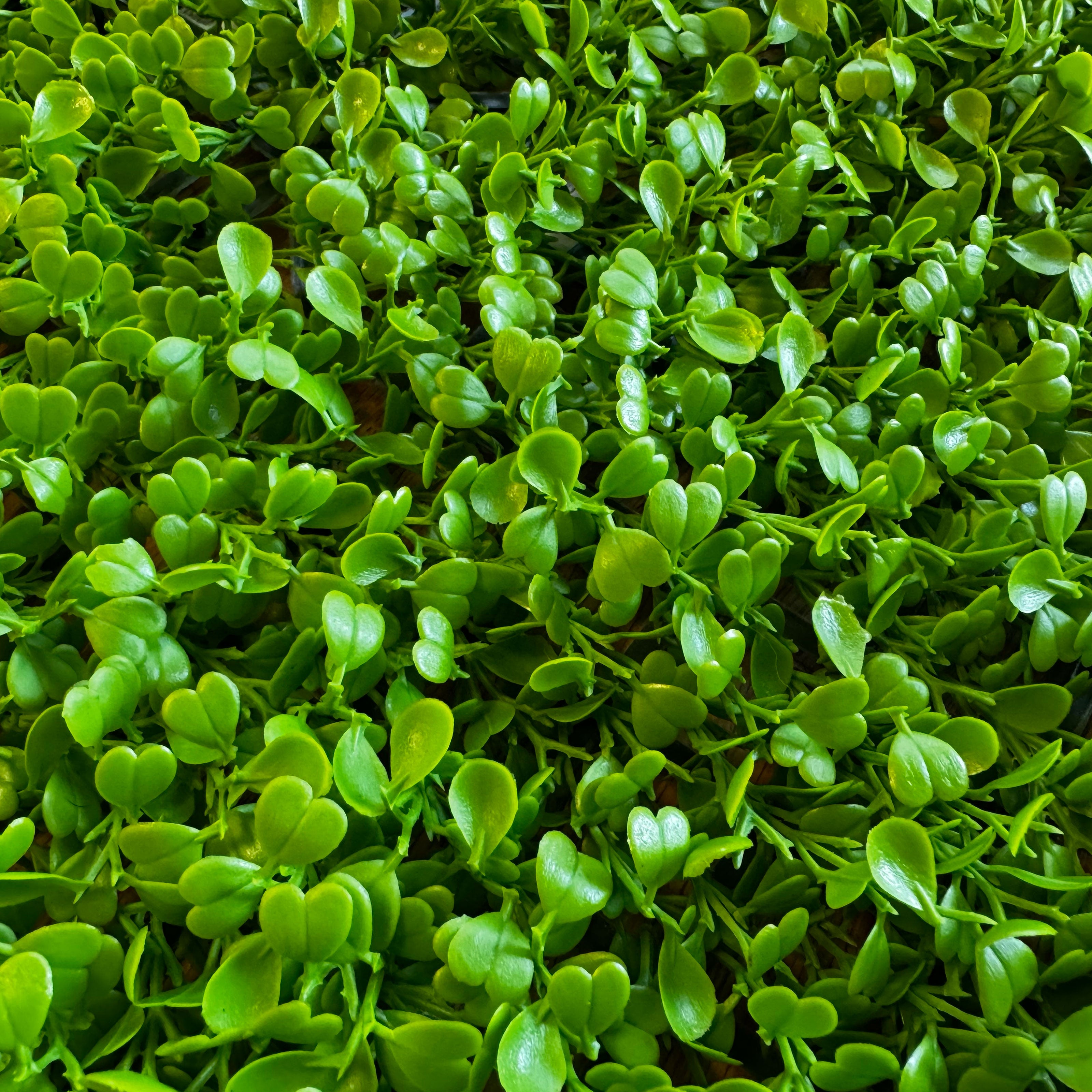 Pannelli Verde Verticale 50×50 cm Ultra-realistici e folti, per interno/esterno BOSSO GENTILE - Eternal Parquet - Eternal Parquet
