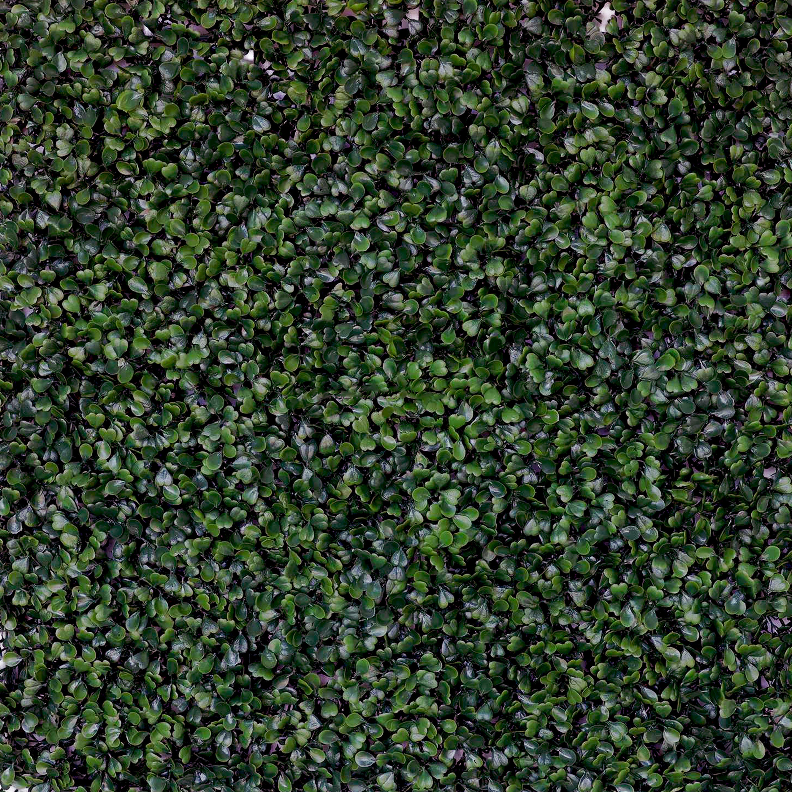 Pannelli Verde Verticale 50×50 cm Ultra-realistici e folti, per interno/esterno BOSSO - Eternal Parquet - Eternal Parquet