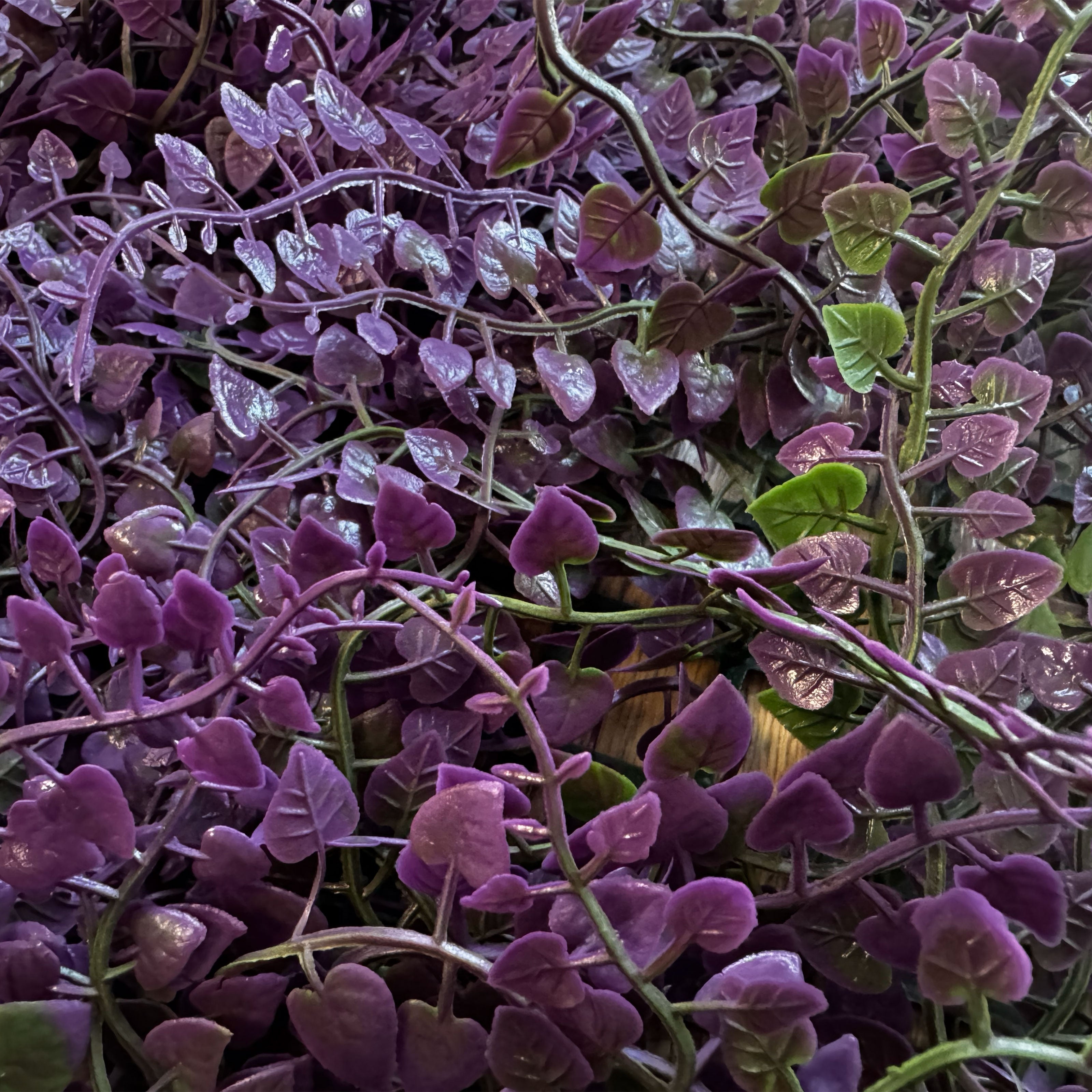 Pannelli Verde Verticale 50×50 cm Ultra-realistici e folti, per interno/esterno EUCALIPTO VIOLA - Eternal Parquet - Eternal Parquet