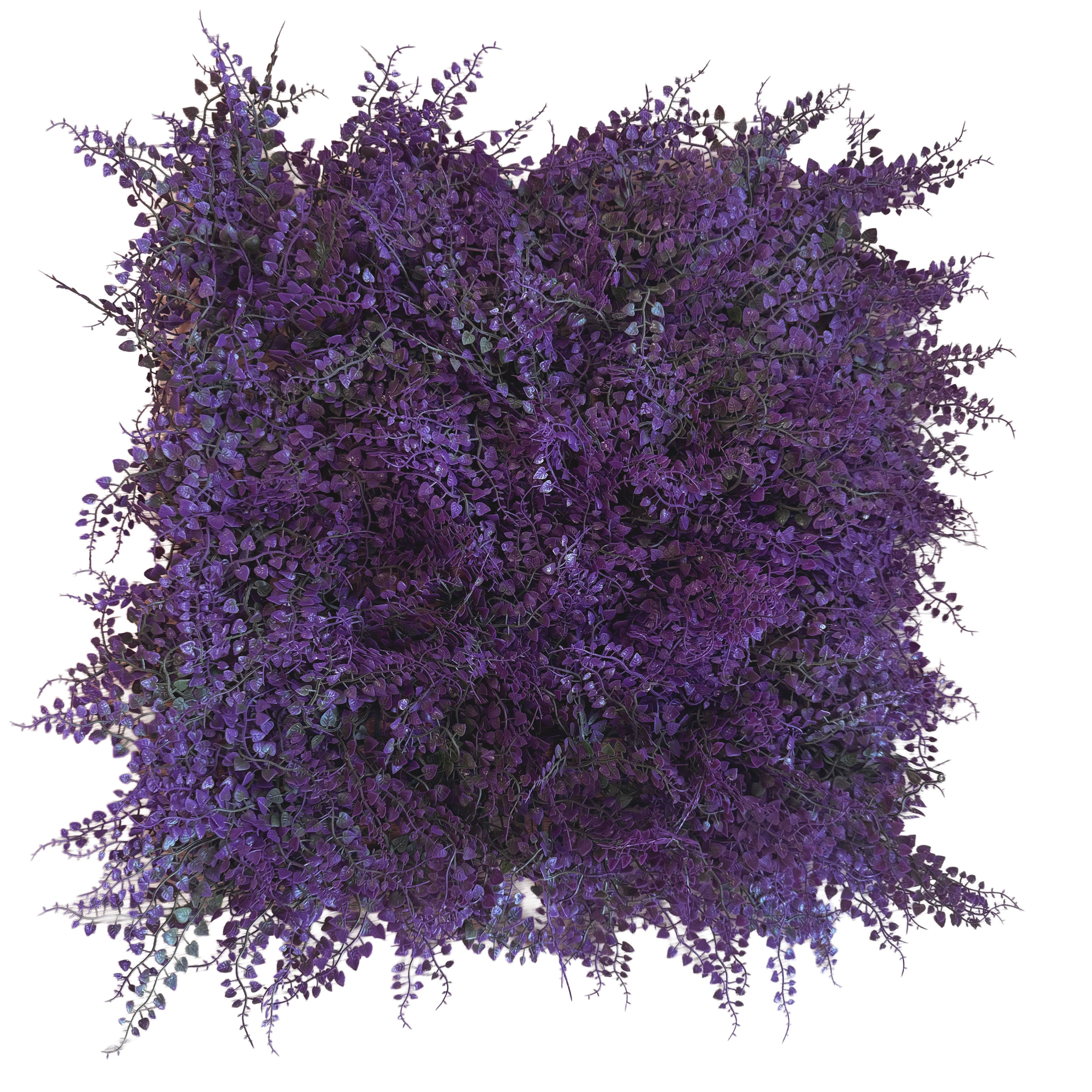 Pannelli Verde Verticale 50×50 cm Ultra-realistici e folti, per interno/esterno EUCALIPTO VIOLA - Eternal Parquet - Eternal Parquet