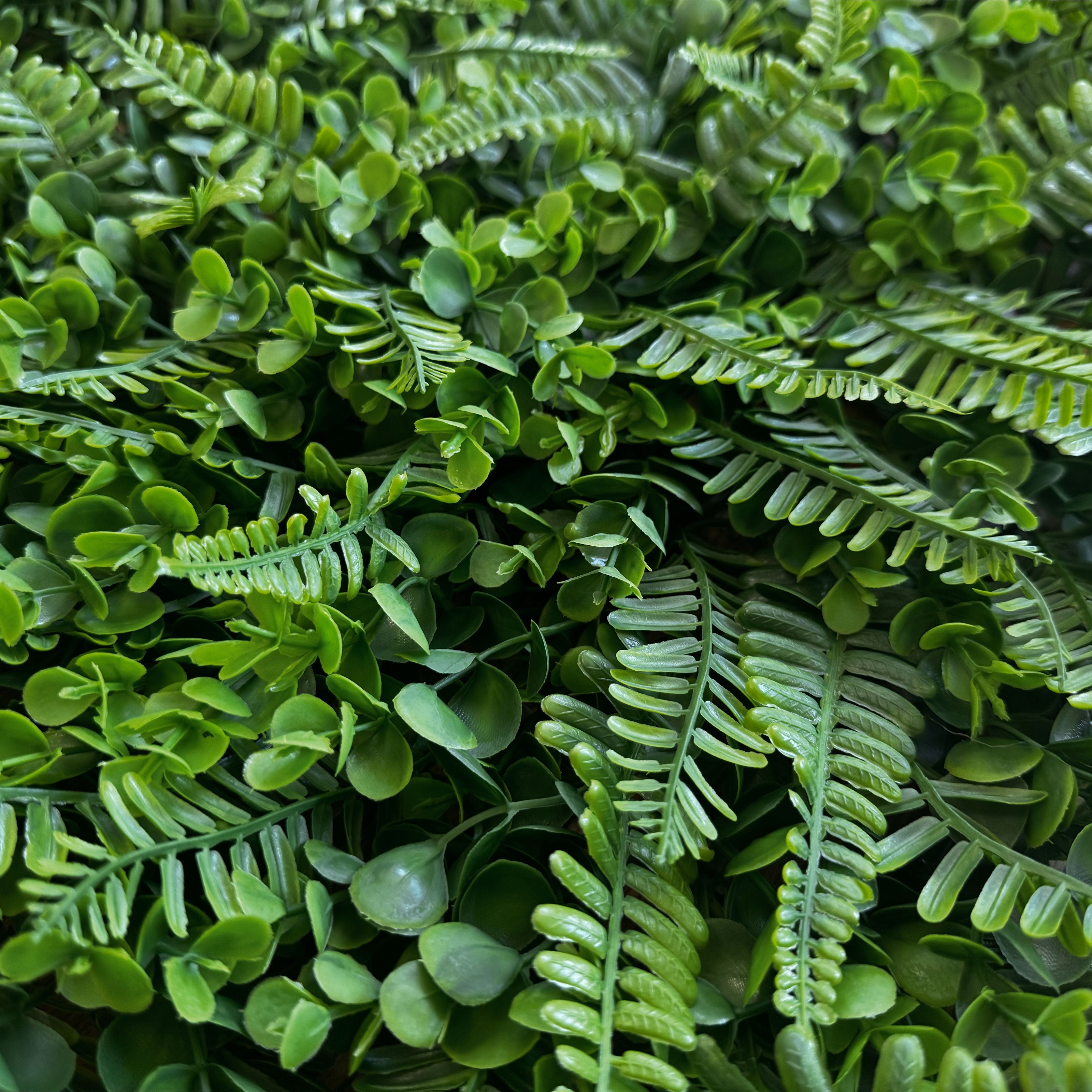 Pannelli Verde Verticale 50×50 cm Ultra-realistici e folti, per interno/esterno FELCI E BOSSO - Eternal Parquet - Eternal Parquet