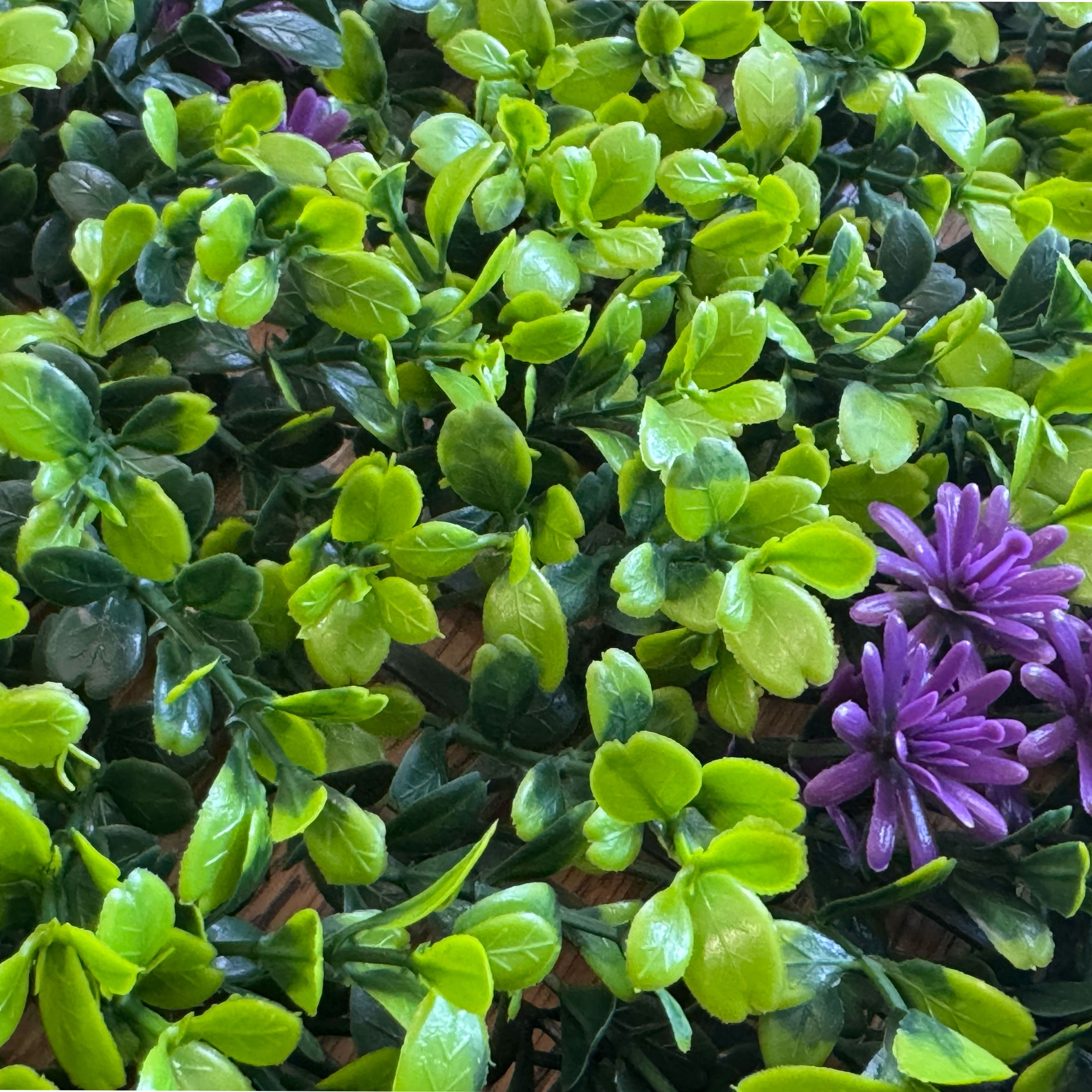 Pannelli Verde Verticale 50×50 cm Ultra-realistici e folti, per interno/esterno BOSSO E FIORI VIOLA - Eternal Parquet - Eternal Parquet