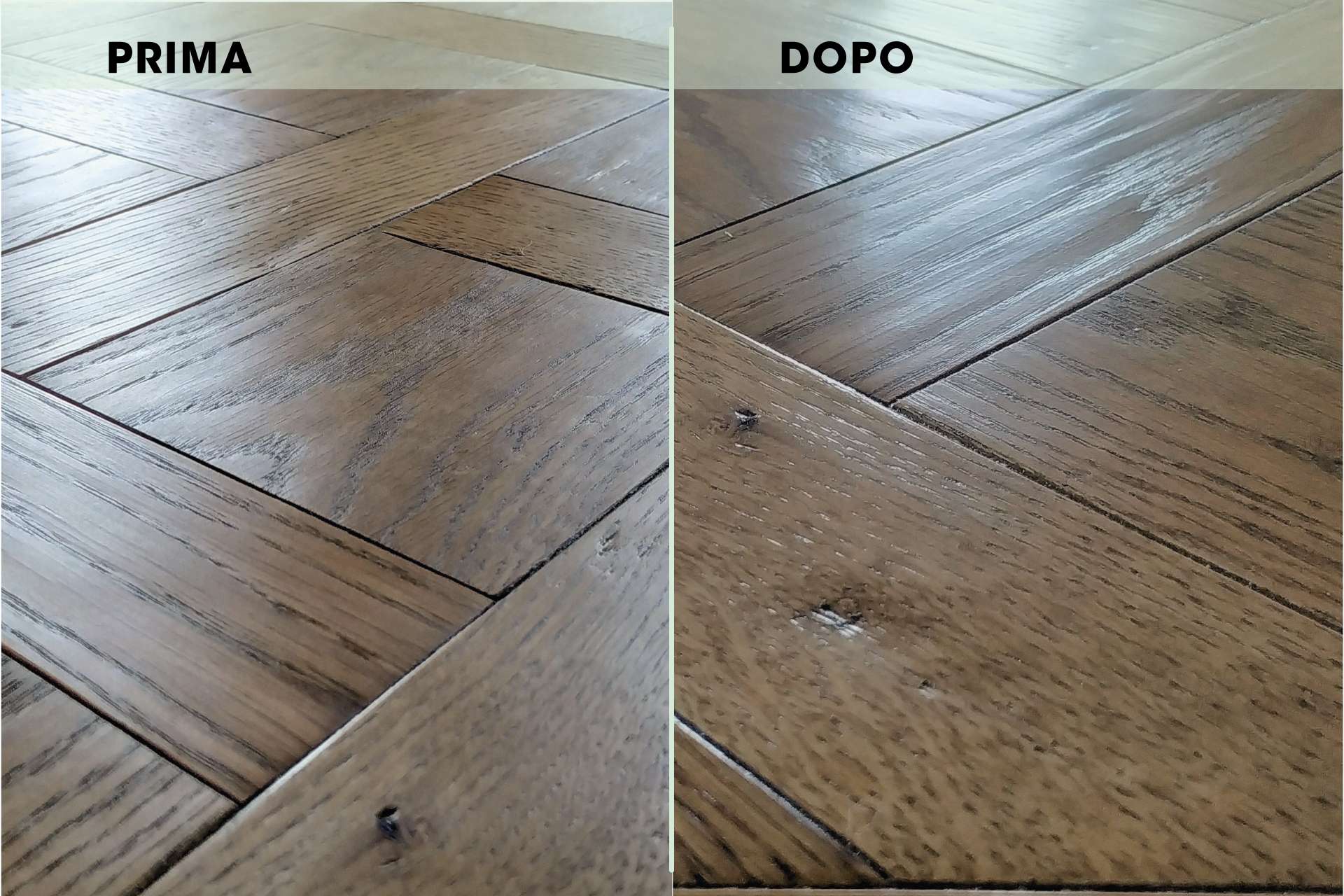Linfolegno