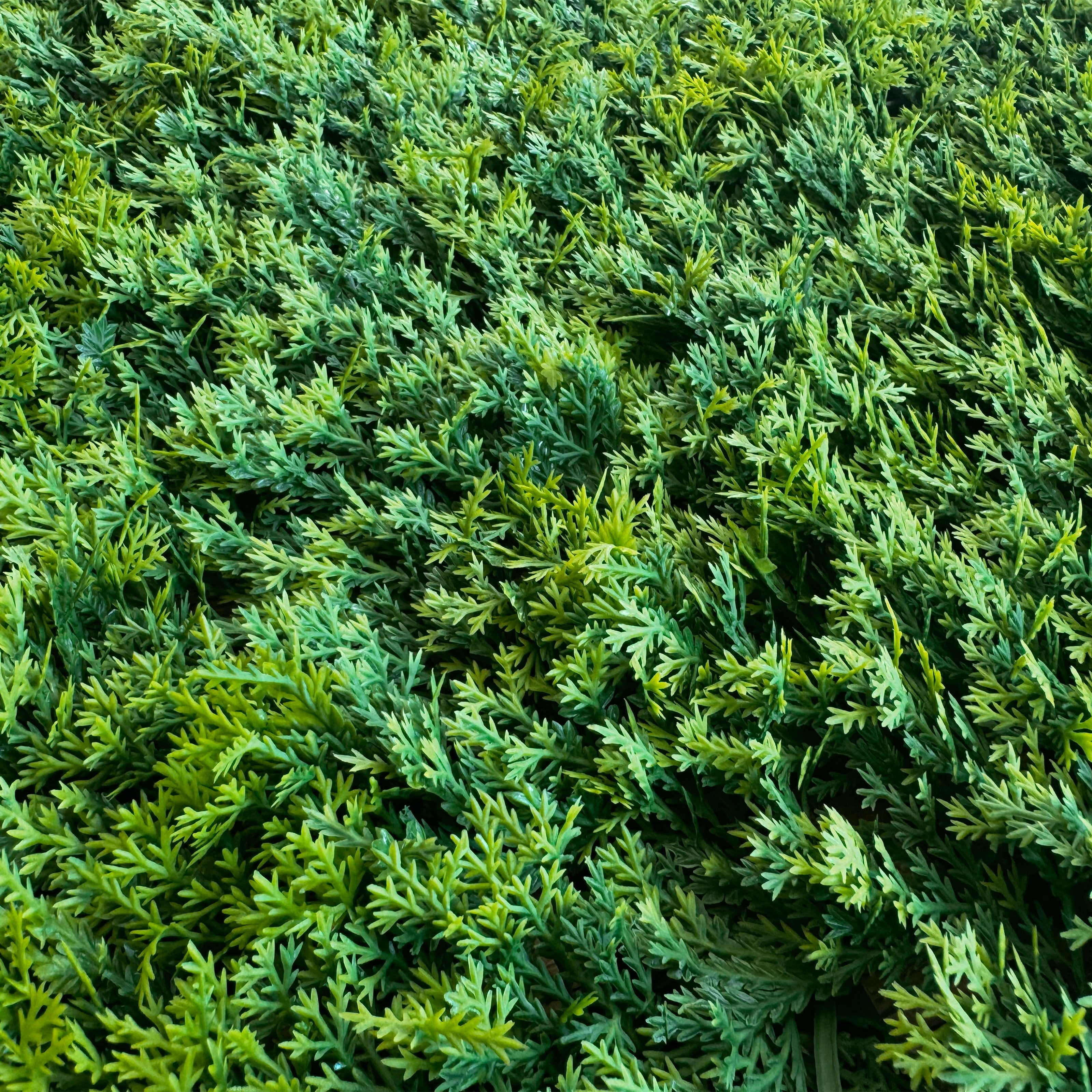 Pannelli Verde Verticale 50×50 cm Ultra-realistici e folti, per interno/esterno MUSCHIO PLUVIALE - Eternal Parquet - Eternal Parquet