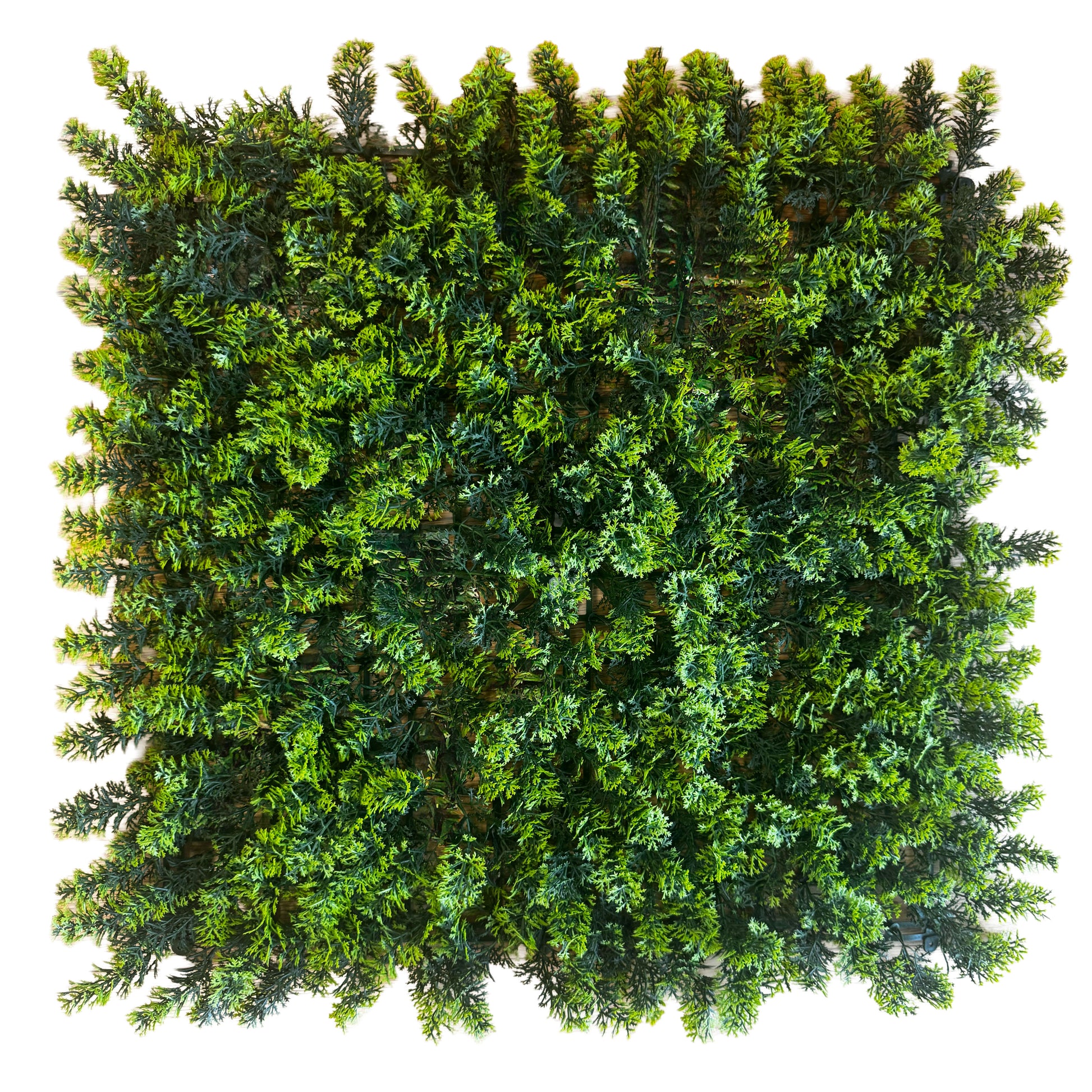 Pannelli Verde Verticale 50×50 cm Ultra-realistici e folti, per interno/esterno CIPRESSO - Eternal Parquet - Eternal Parquet