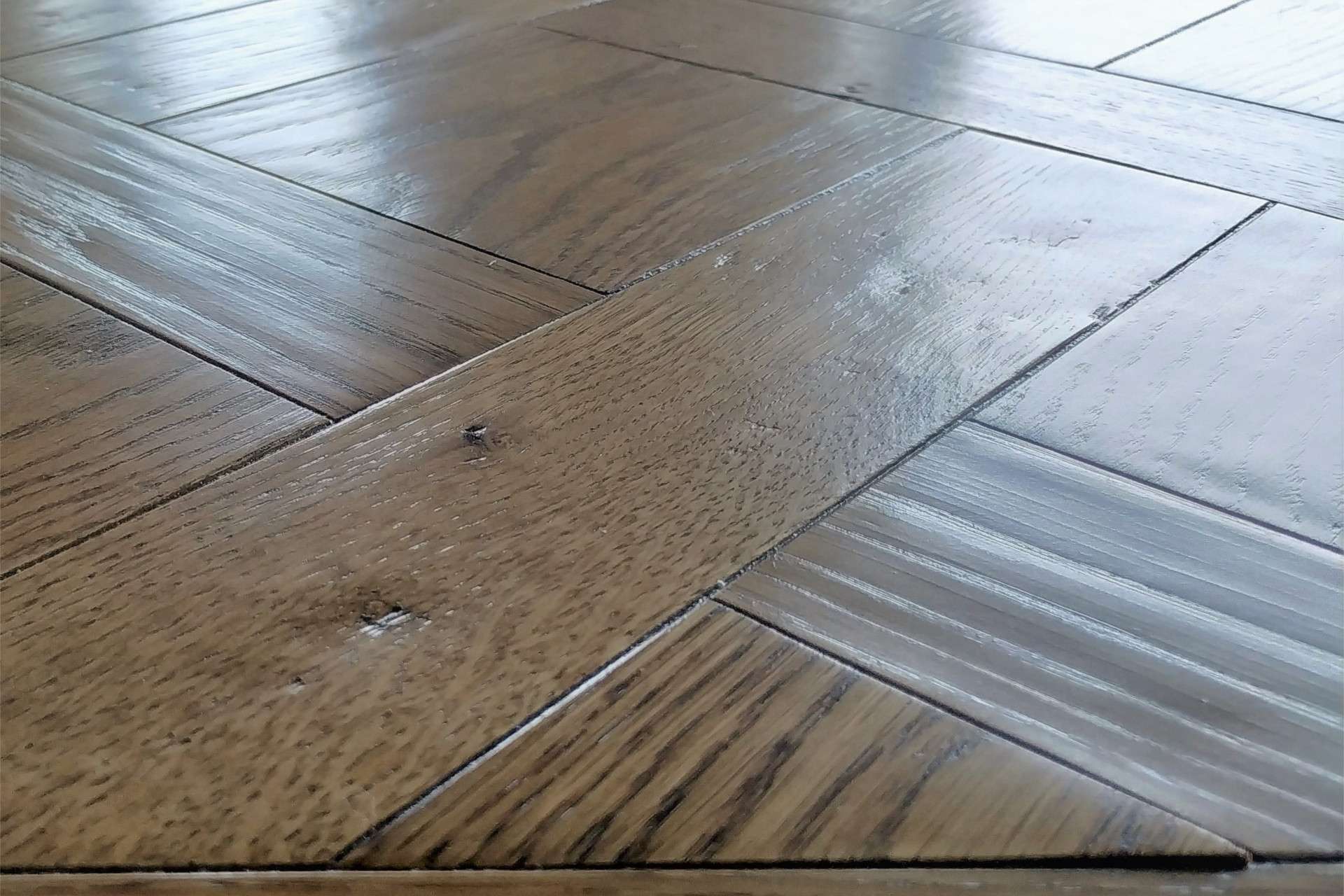 Linfolegno