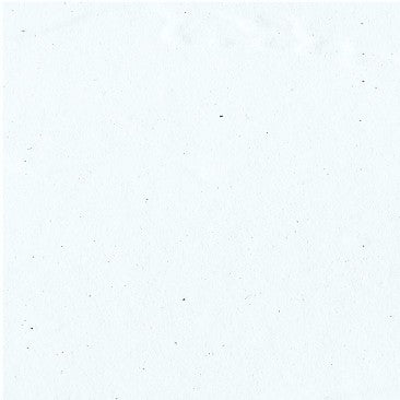 NATURAQUA HOLZWACHS LASUR 3IN1 - Fondo finitura cerato all'acqua per esterni