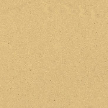 Prodotto per Ritocchi Smalto Coprenti per Ceramica con Pennellino Borma Wachs