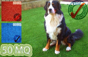 Prato in erba sintetica ROTOLO DA 50MQ (2mtx25) tufting 100% polypropylene da 8mm colori blu e rosso - Eternal Parquet