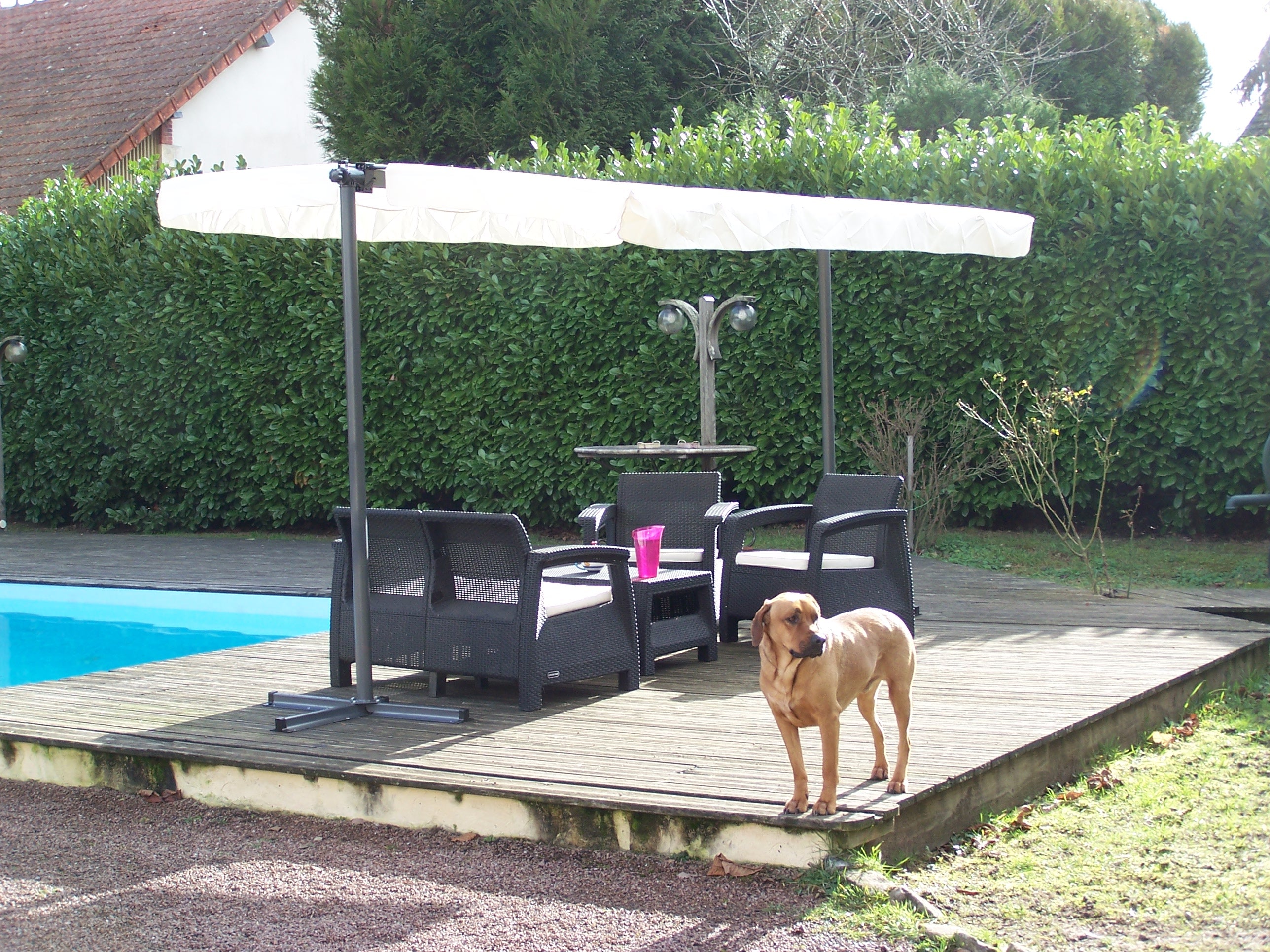 Pegola A Baldacchino Con Telo Girevole Ed Allungabile 250x350x220cm - Eternal Parquet